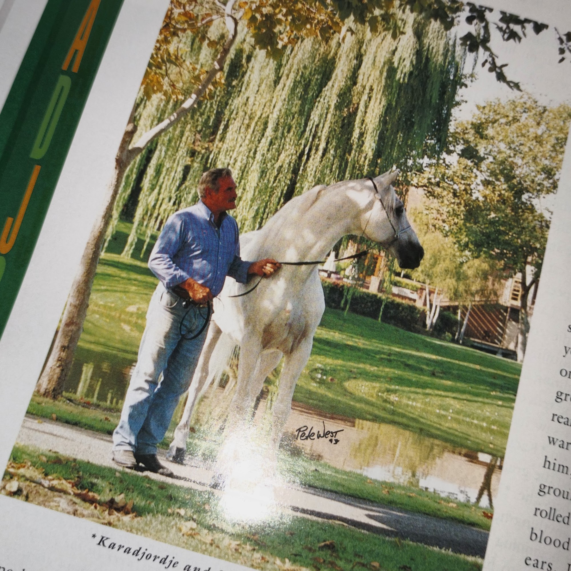 Collett Equine Veterinary Service Henryetta