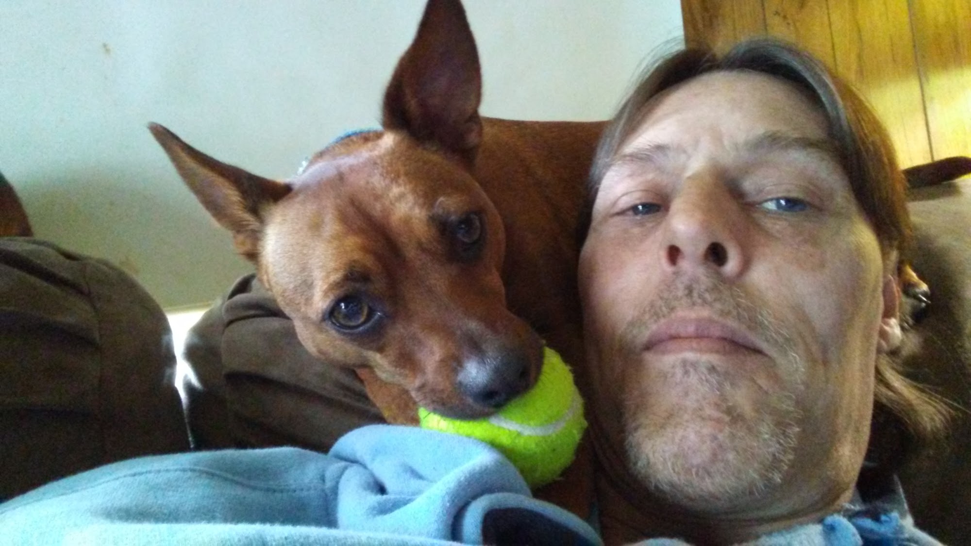 Alvin's Dog Grooming Lawton