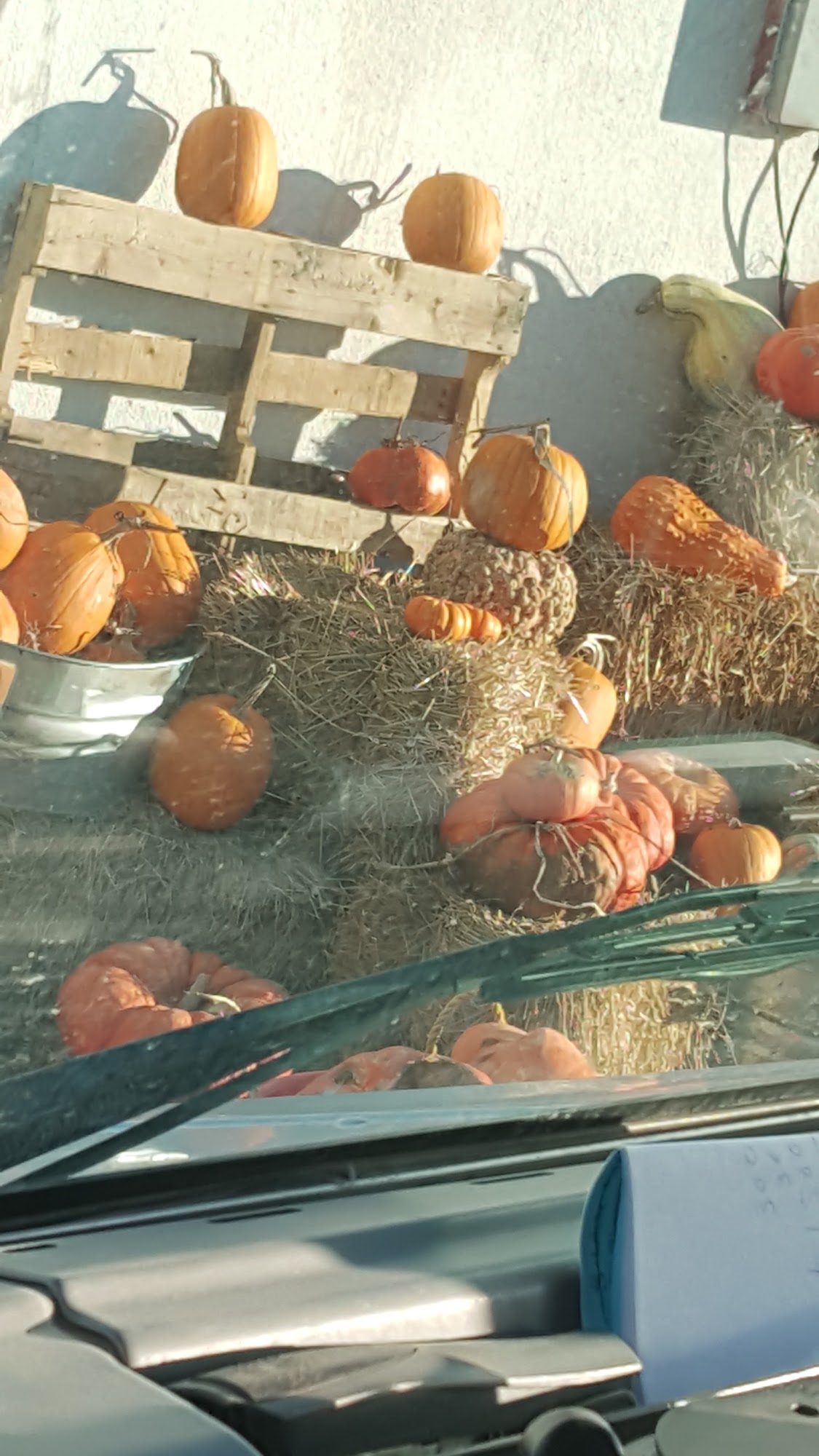 Frontier Feeds Marlow