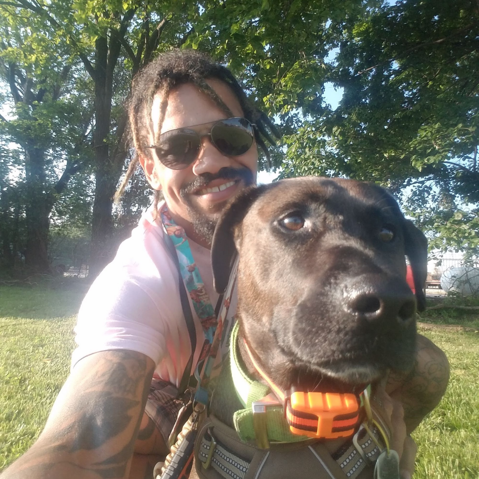 Jo Jo's Pampered Paws Grooming Miami