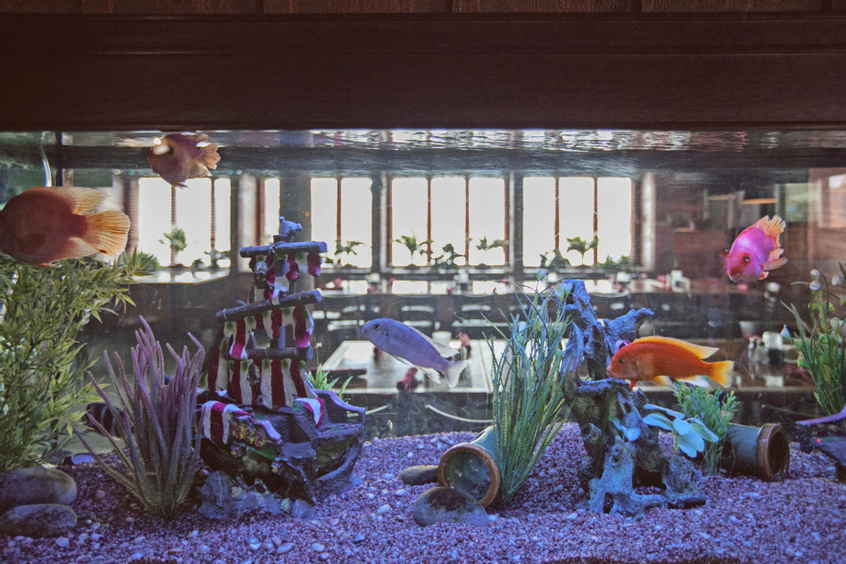 Pelican's Restaurant Midwest City