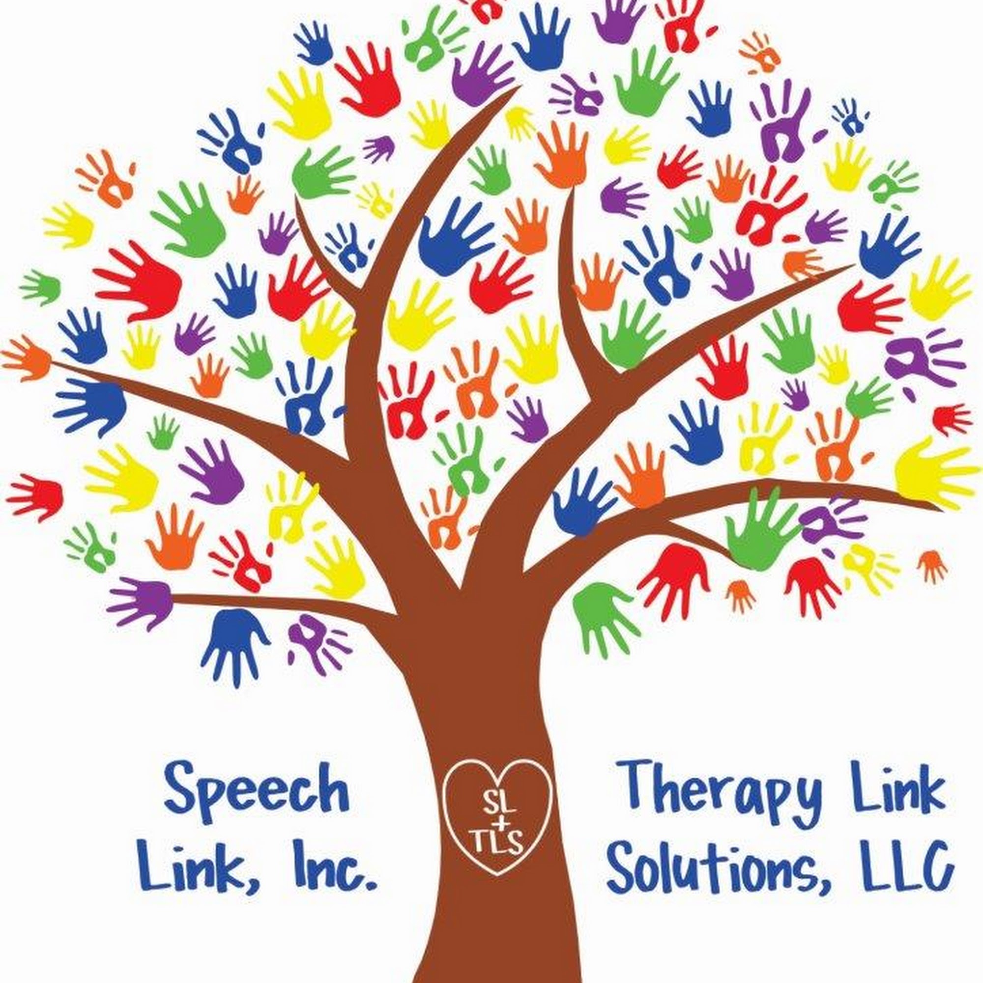 Therapy Link Solutions, LLC
