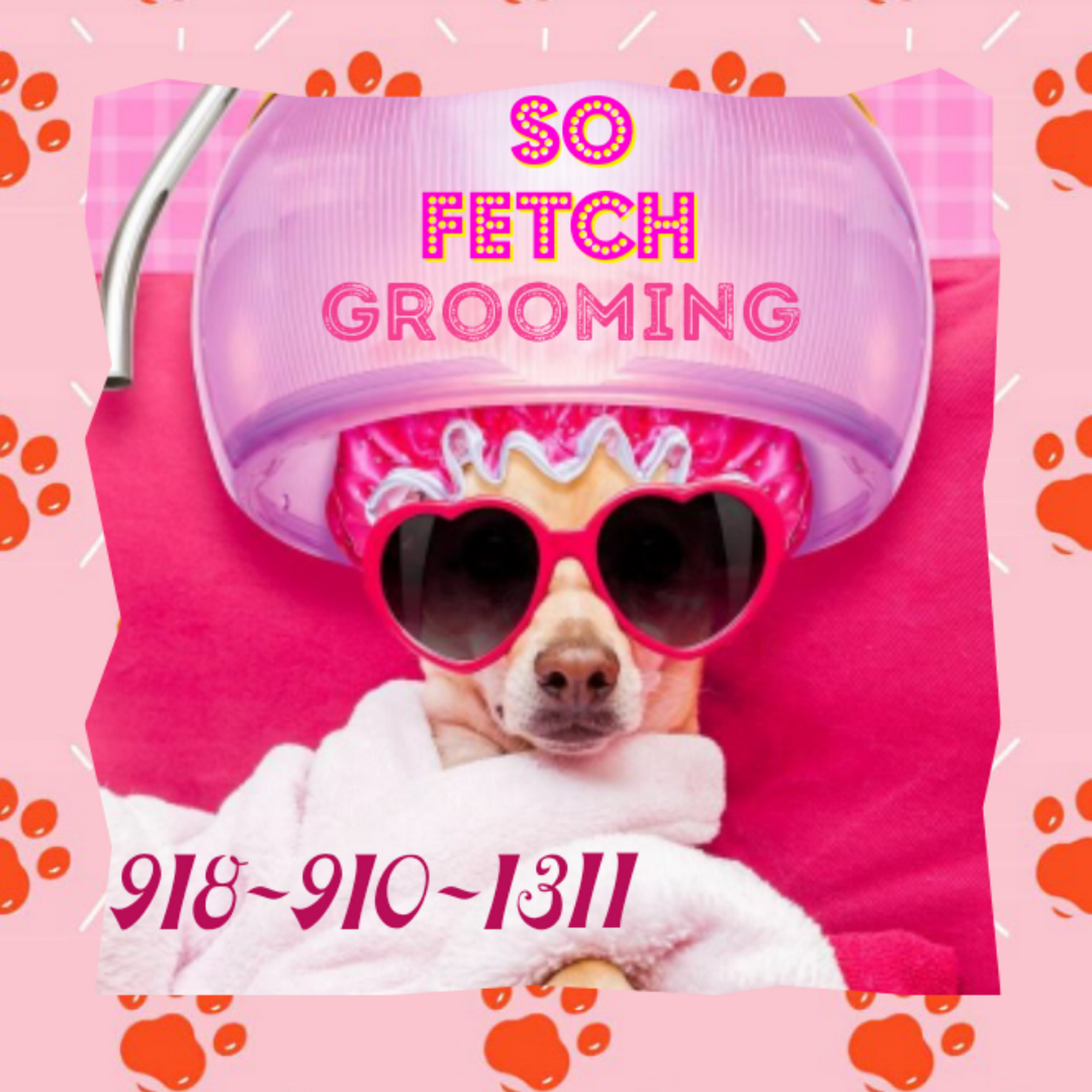 So Fetch Grooming Muskogee