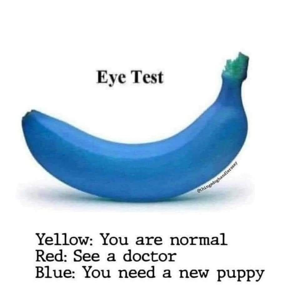 Central Oklahoma Boarding & Grooming Noble