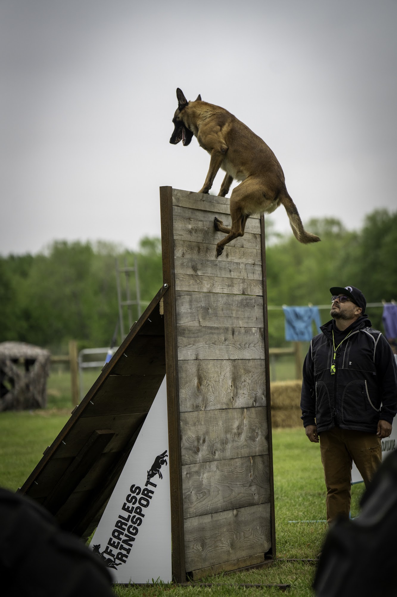 Southern Warrior K9 Norman