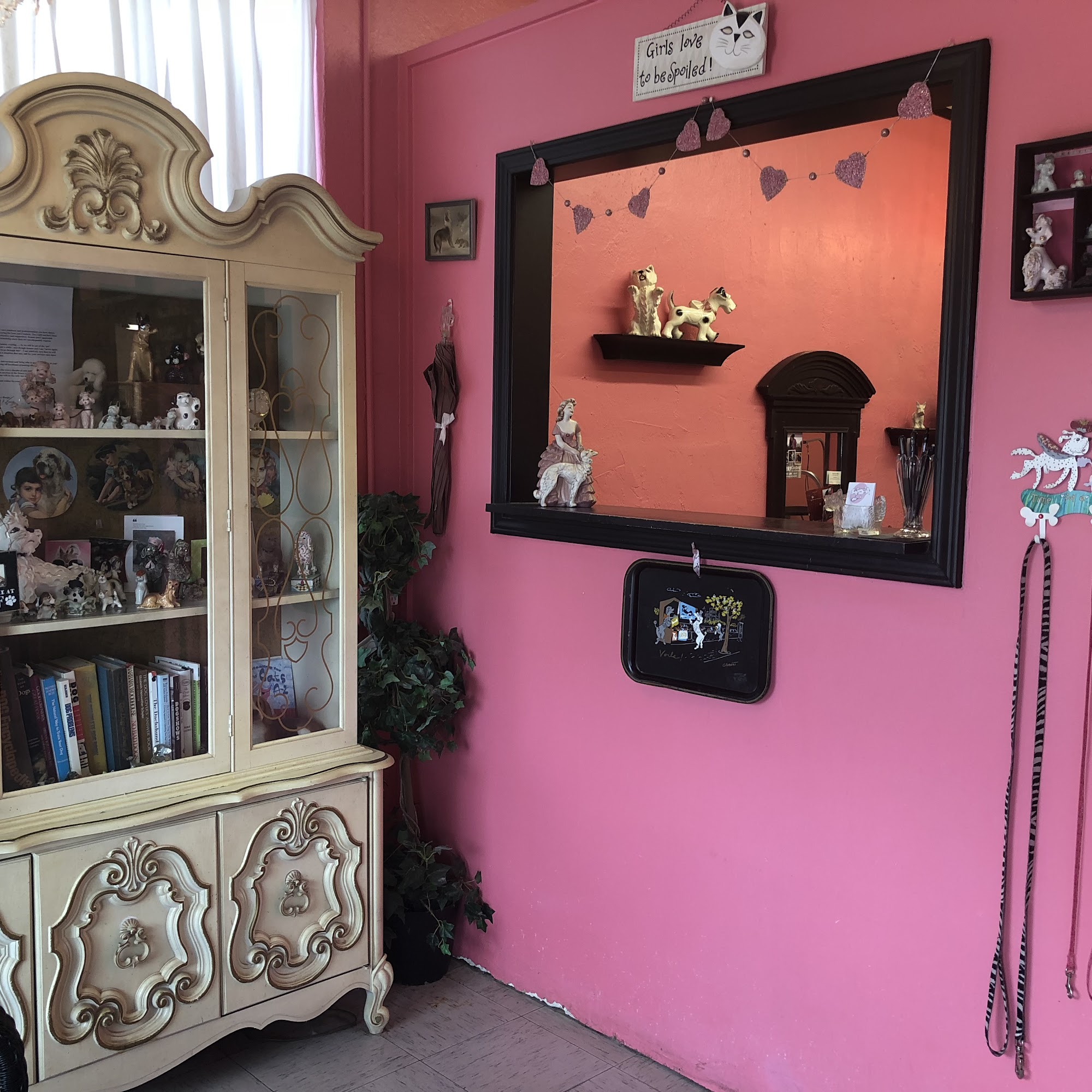 Paw & Claw Grooming Norman