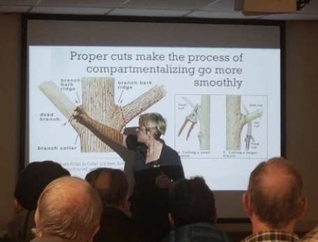 Photo credit: nextdoor