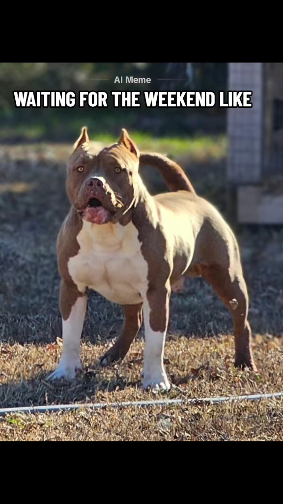 Slick Willies Family Pool Hall Menu