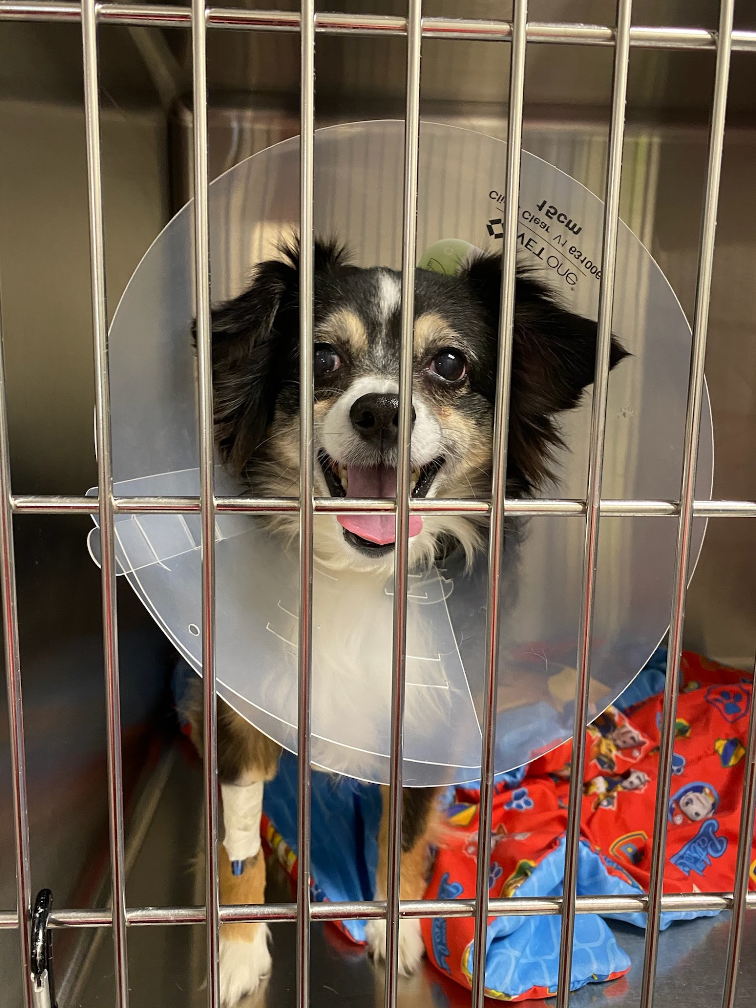 405 Vet Animal Hospital Oklahoma City