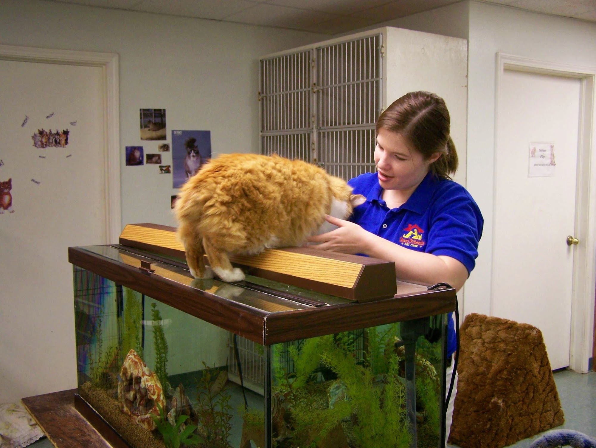 Memorial Crossing Pet Resort Oklahoma City