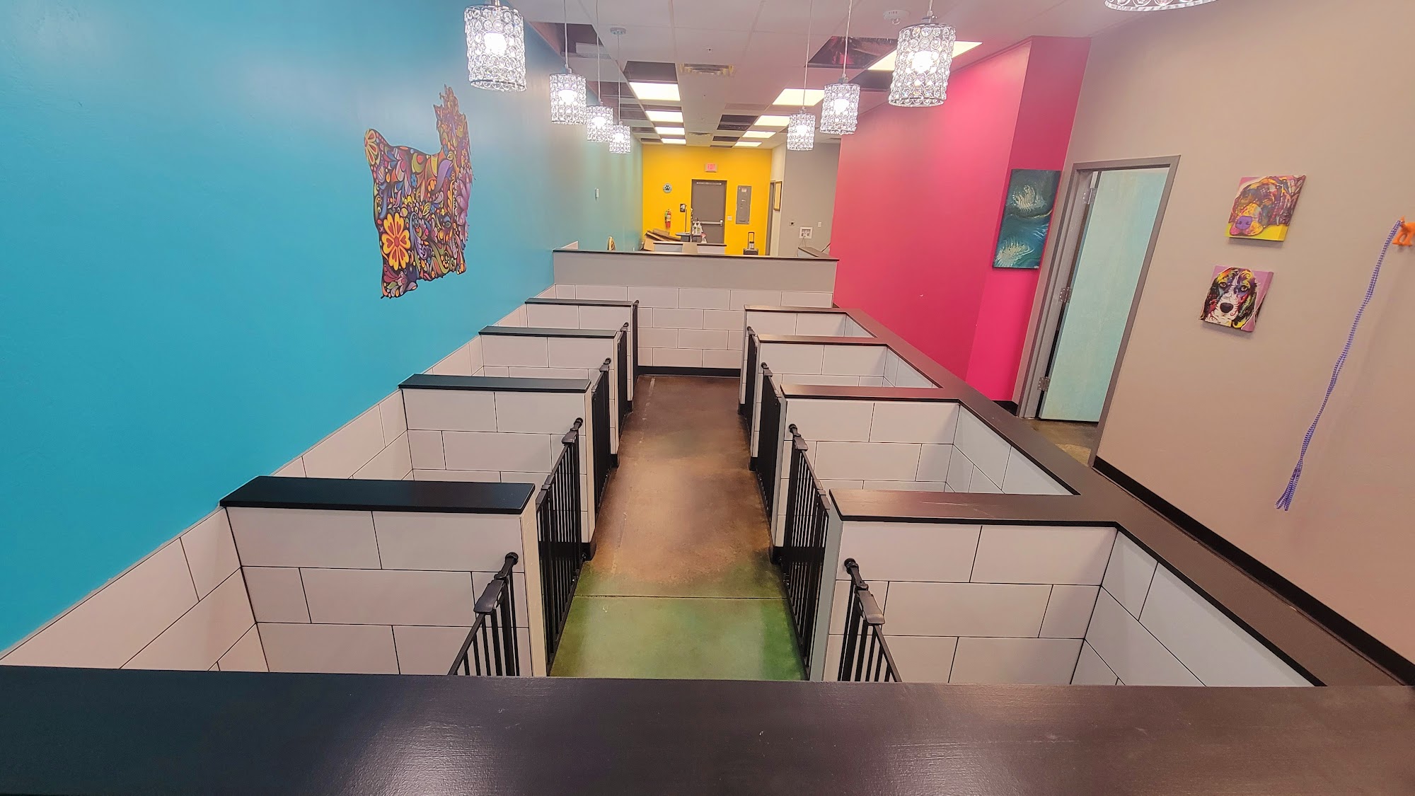 Temple of the Dog Grooming Salon LLC Oklahoma City