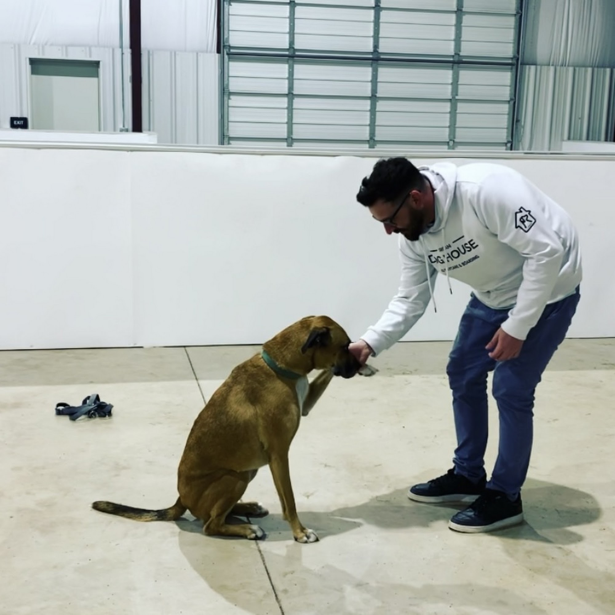 Urban Doghouse Oklahoma City