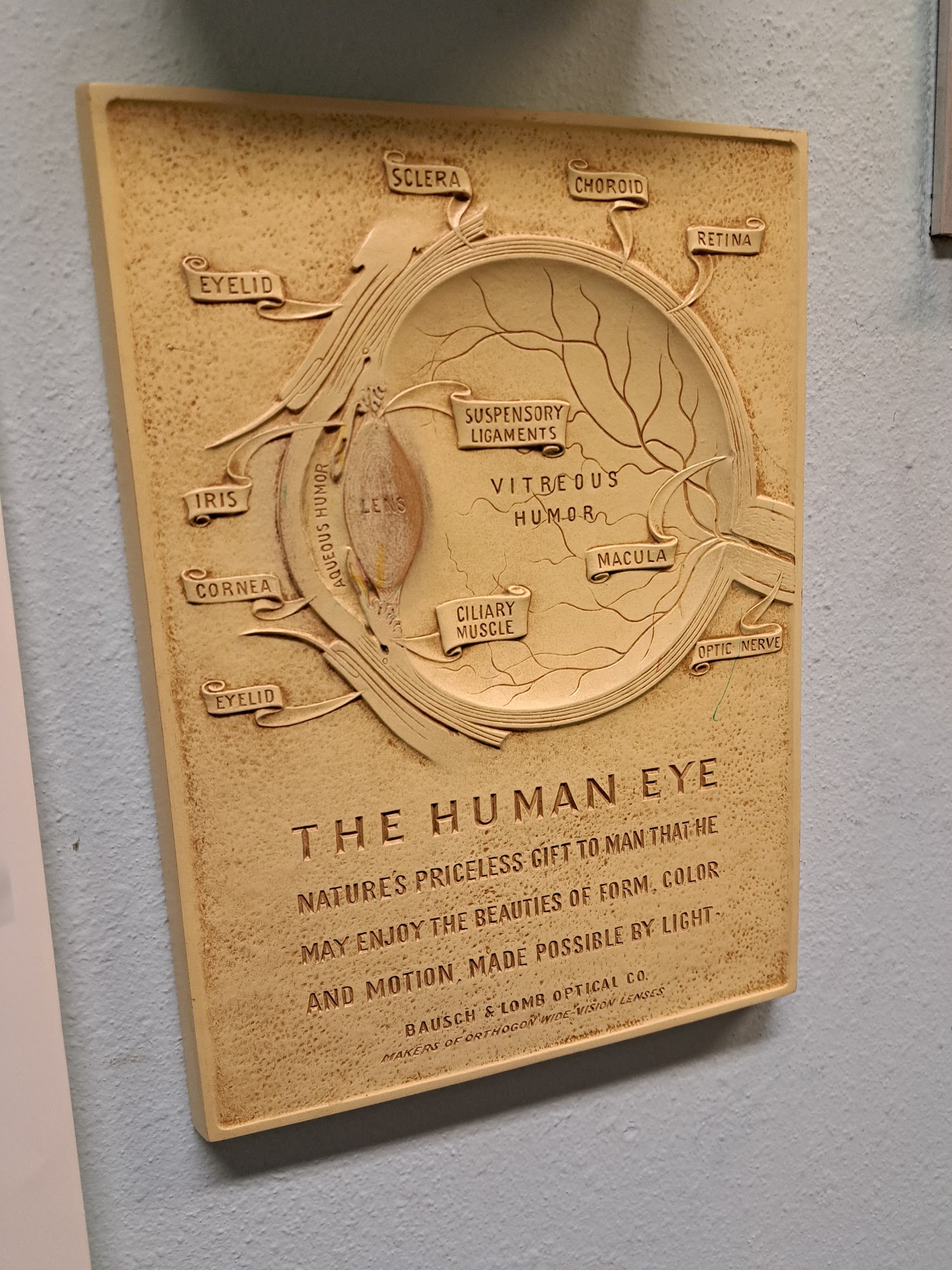 Mc Bride Optometric Clinic