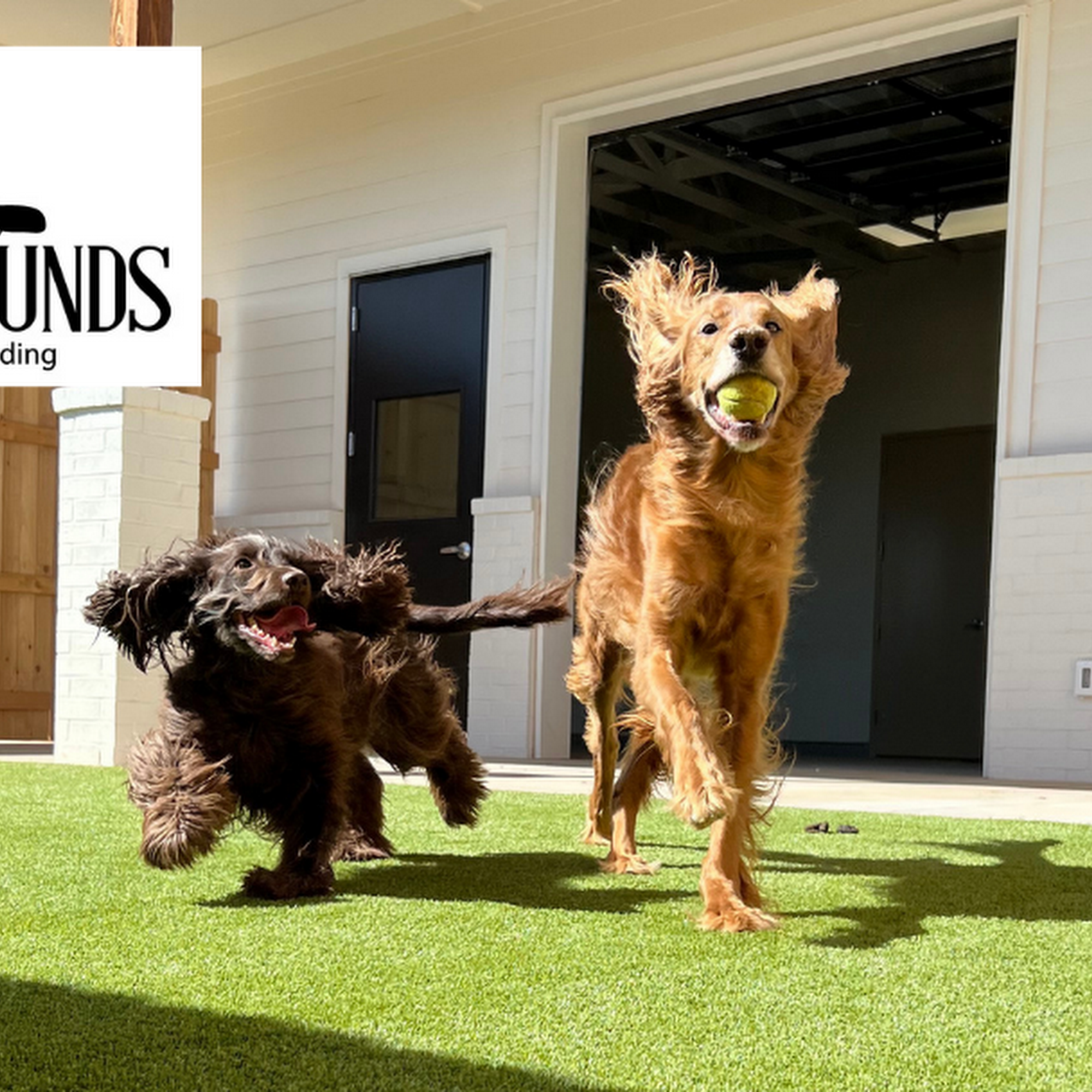 Happy Hounds Dog Daycare & Boarding Oklahoma City