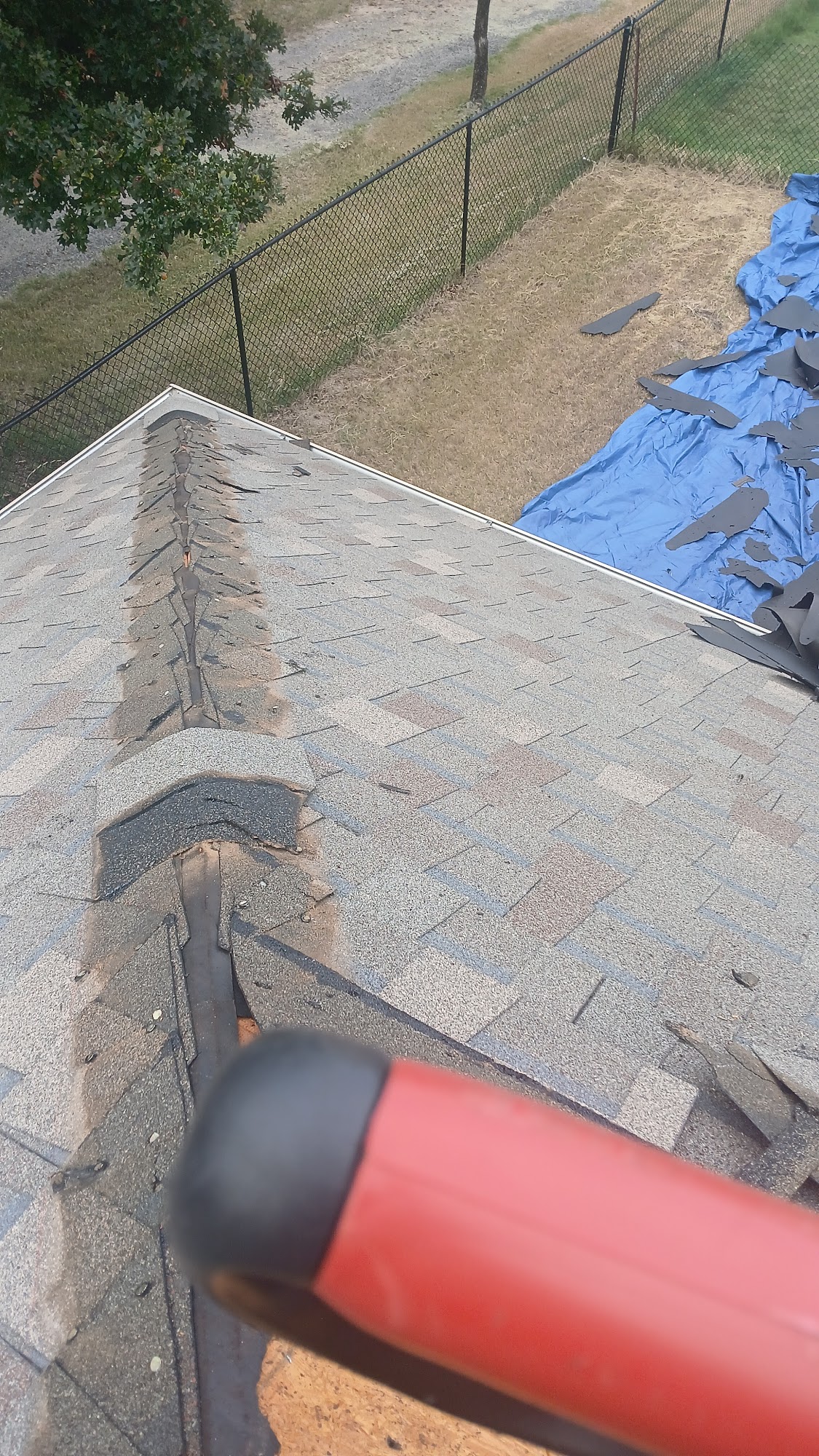 Walmart Garden Center