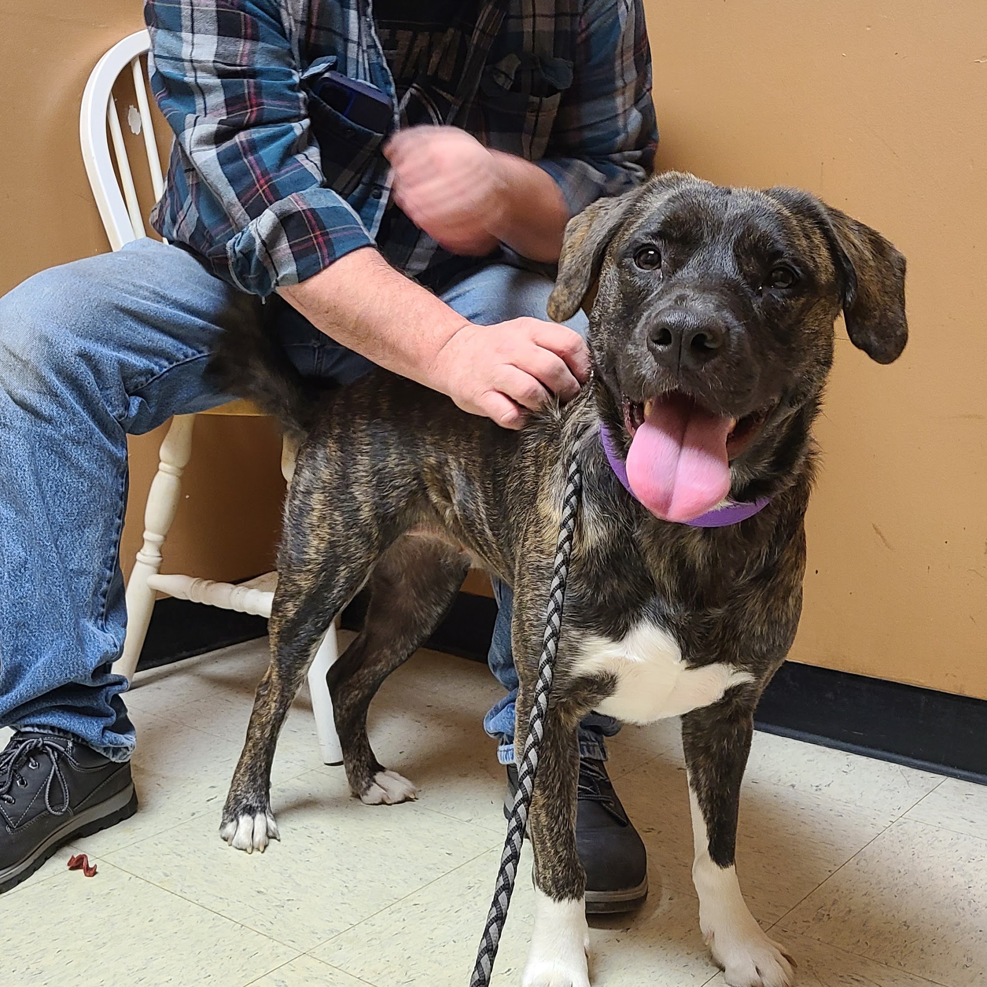 Ator Heights Animal Hospital Owasso