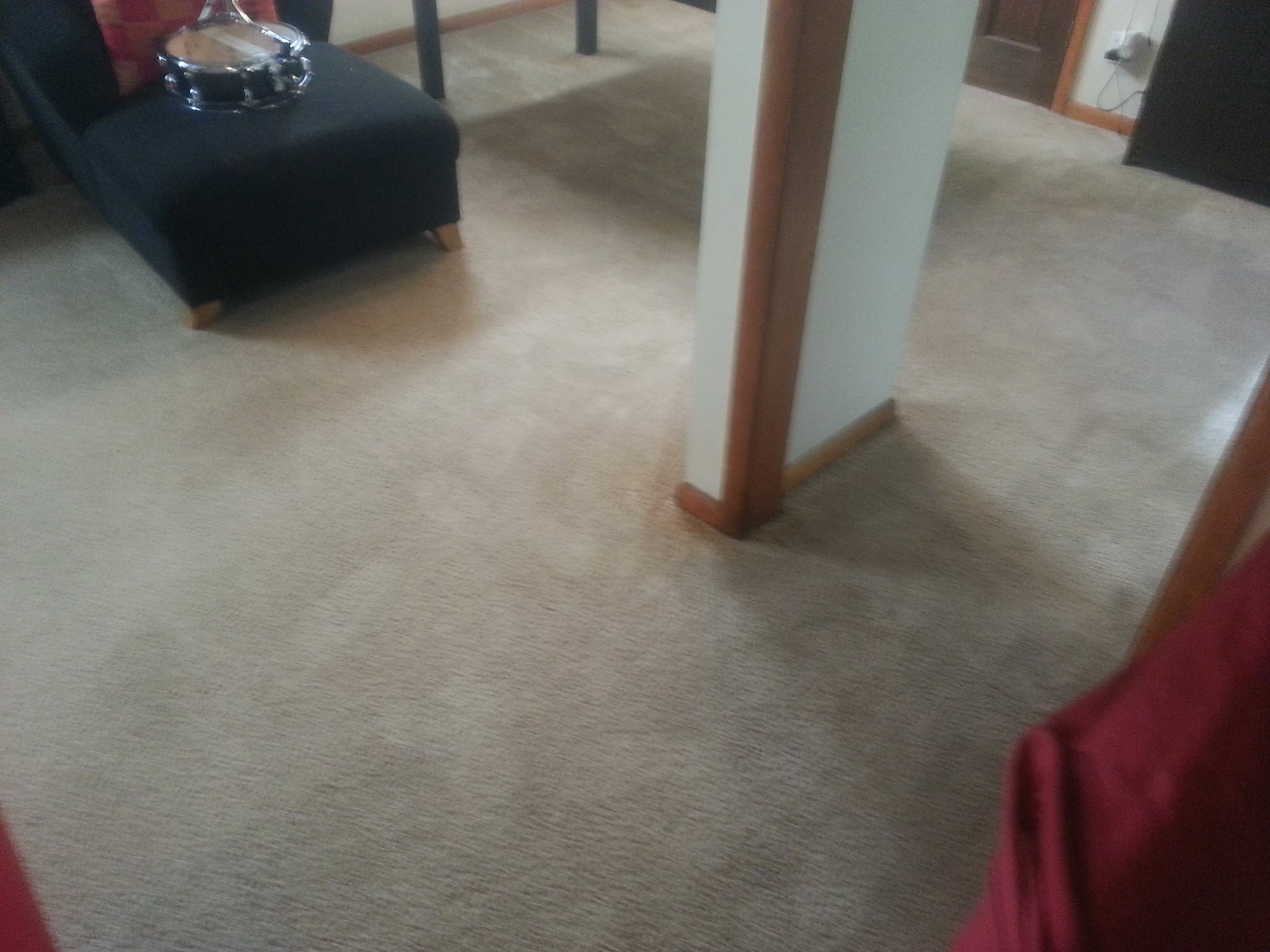 Dri-Rite Carpet & Upholstery