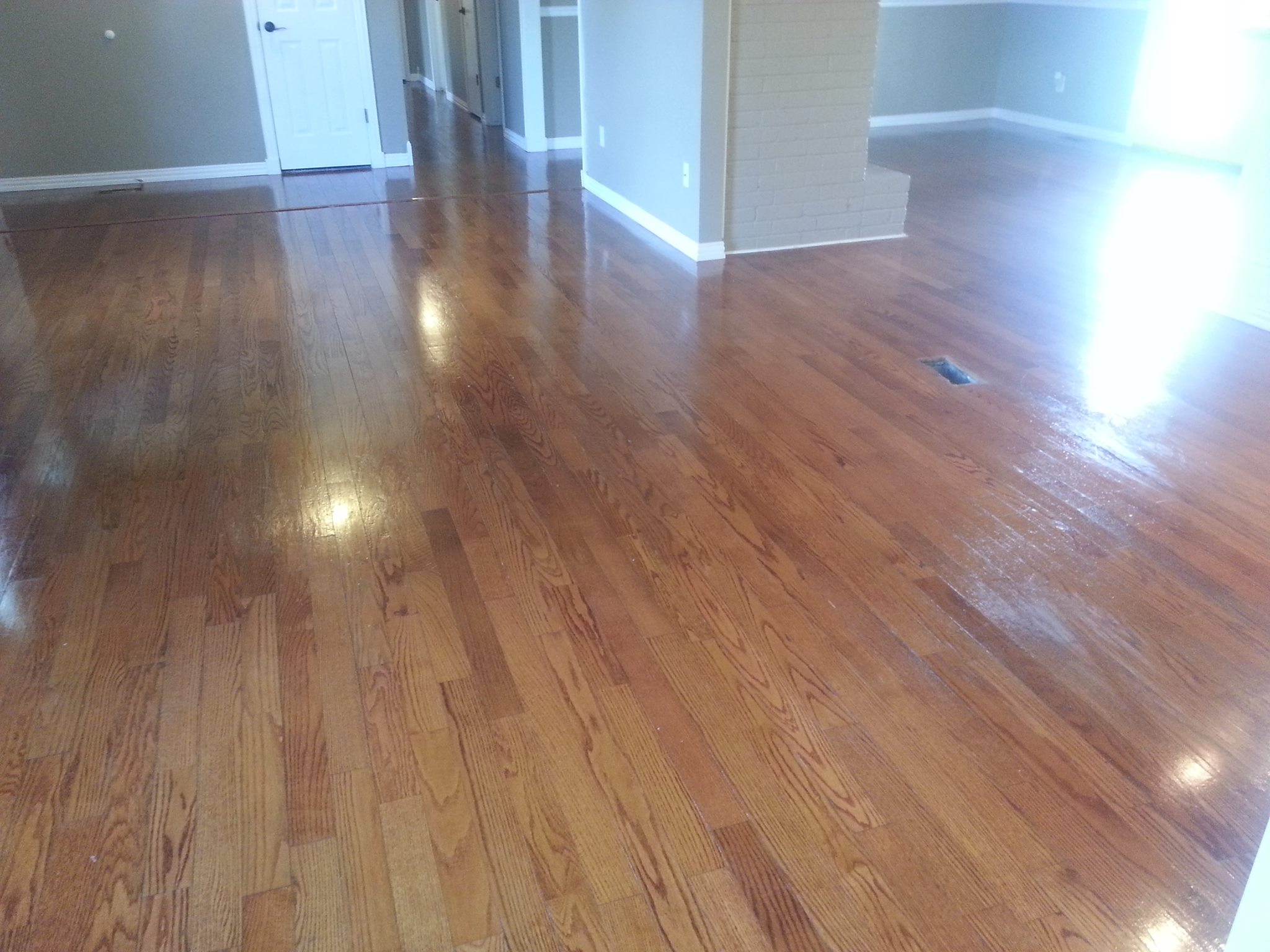 Dri-Rite Carpet & Upholstery