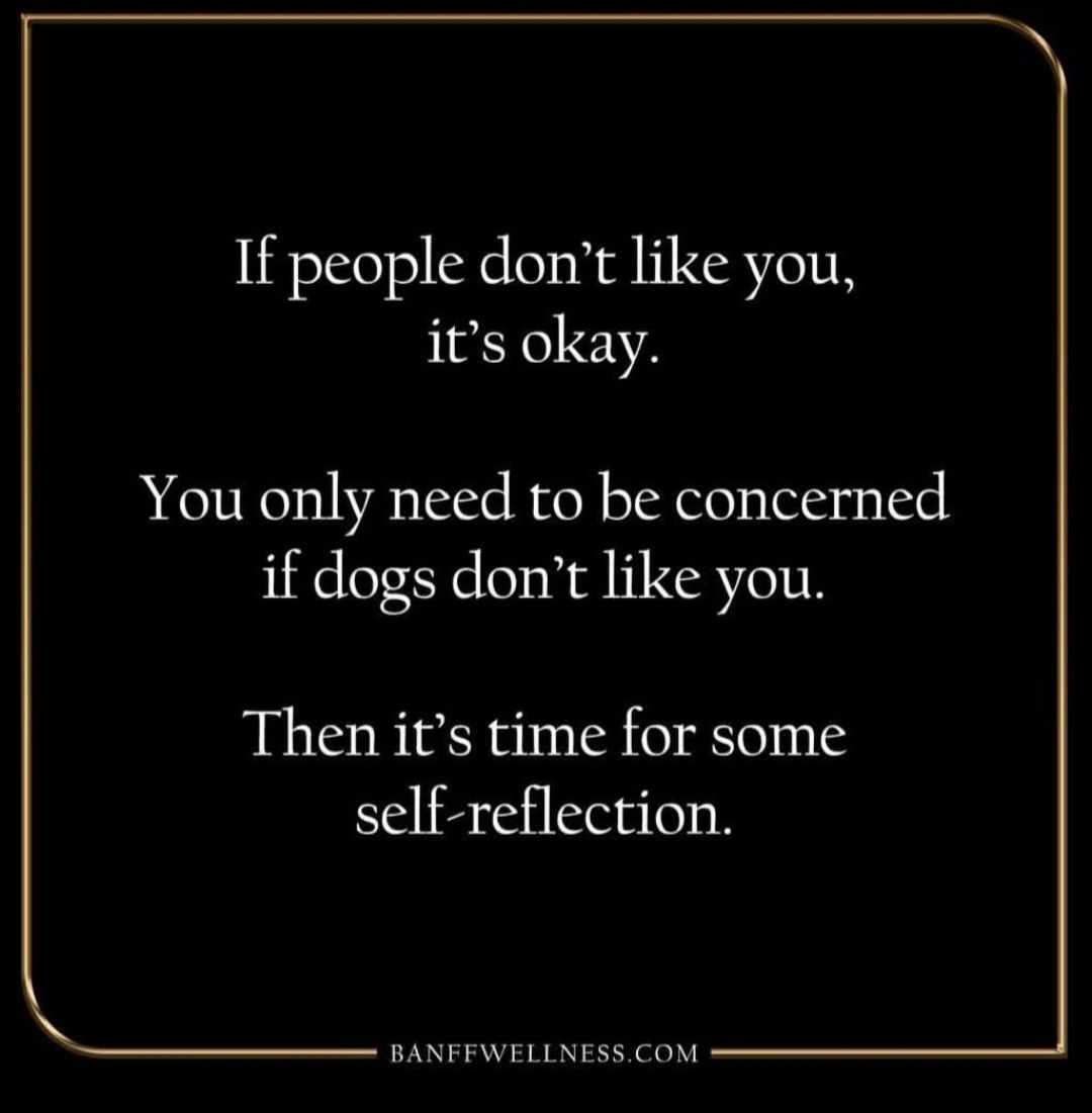 Scott's Dog House Owasso