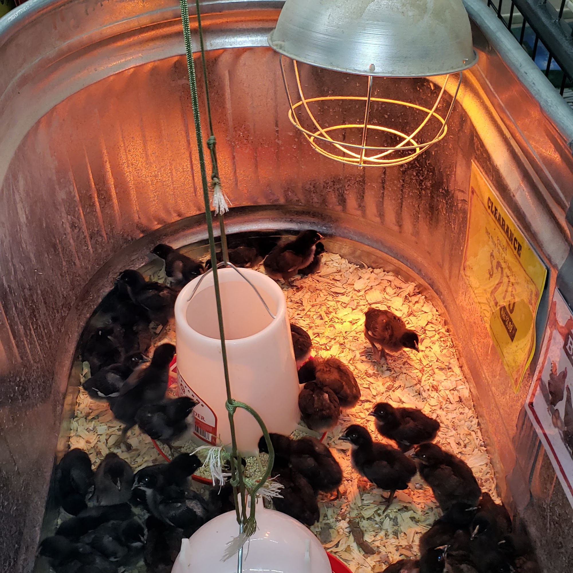 Tractor supply company Perry