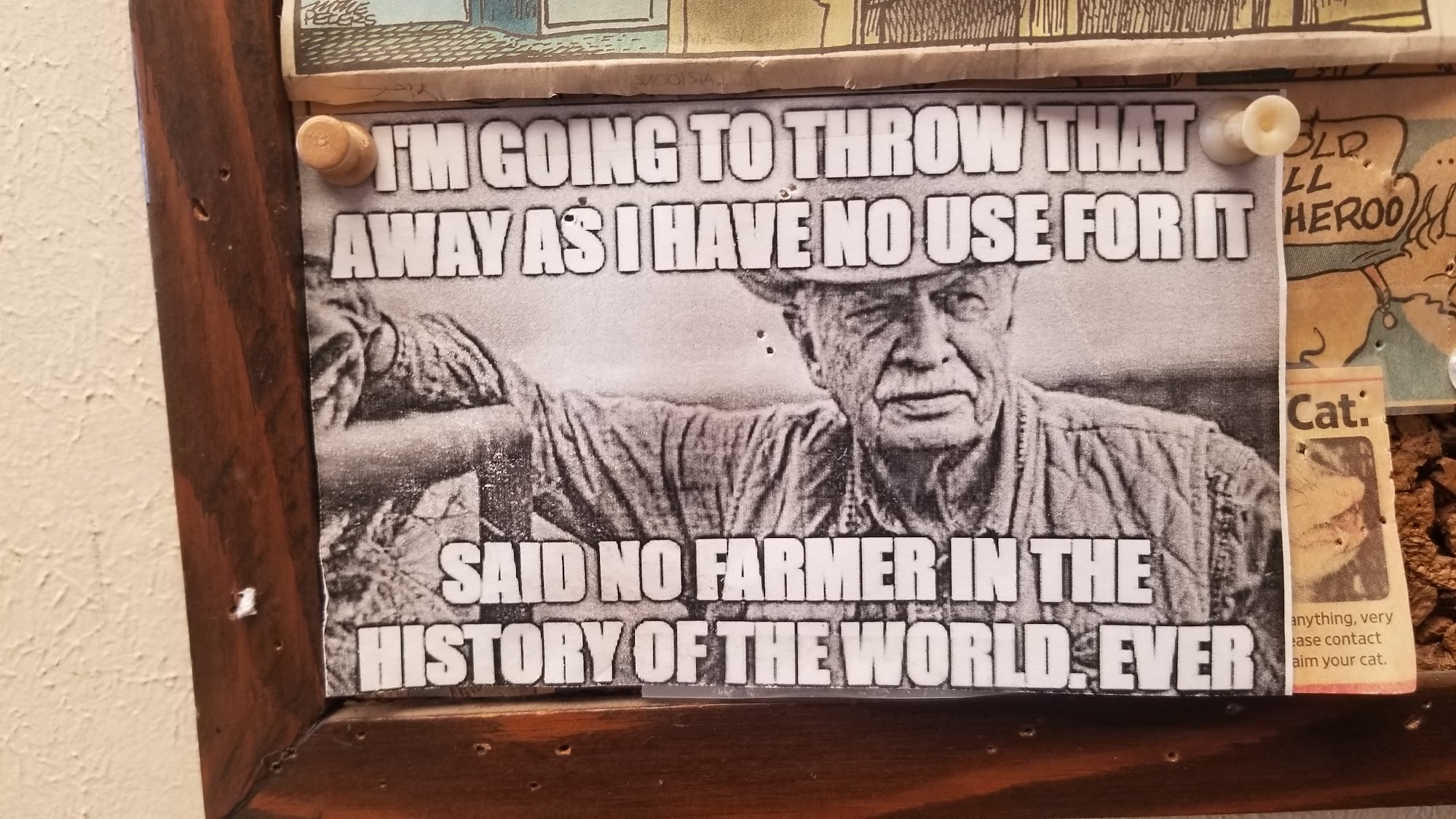 Prague Veterinary Clinic Prague