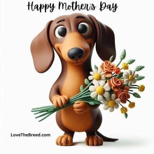 Winnie's Flowers and Gifts