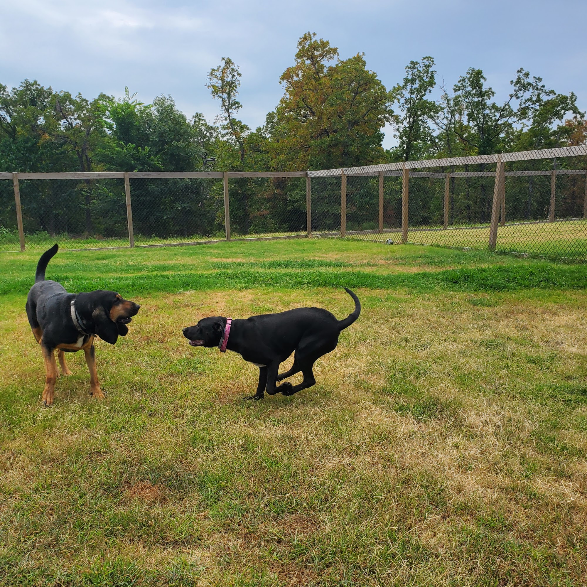 Tara's Crate Escape Sapulpa