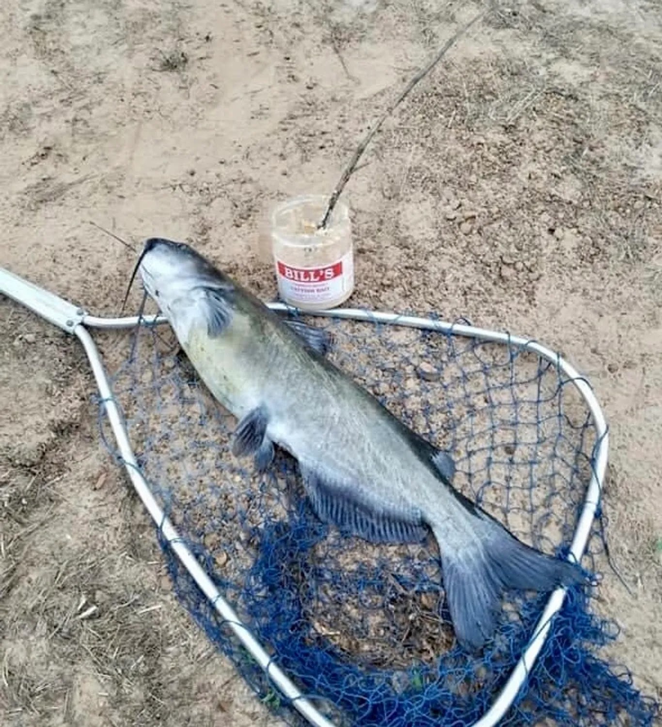 Bill's Catfish Bait Sapulpa