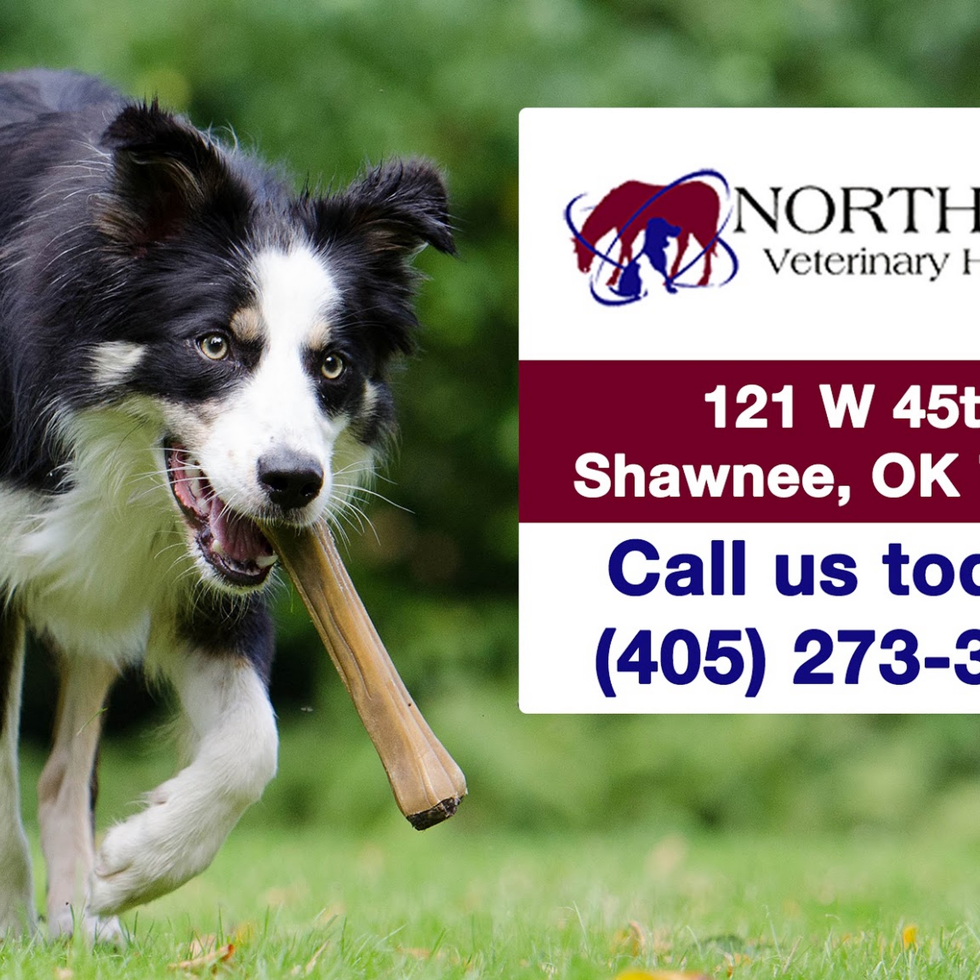 Northside Veterinary Hospital Shawnee