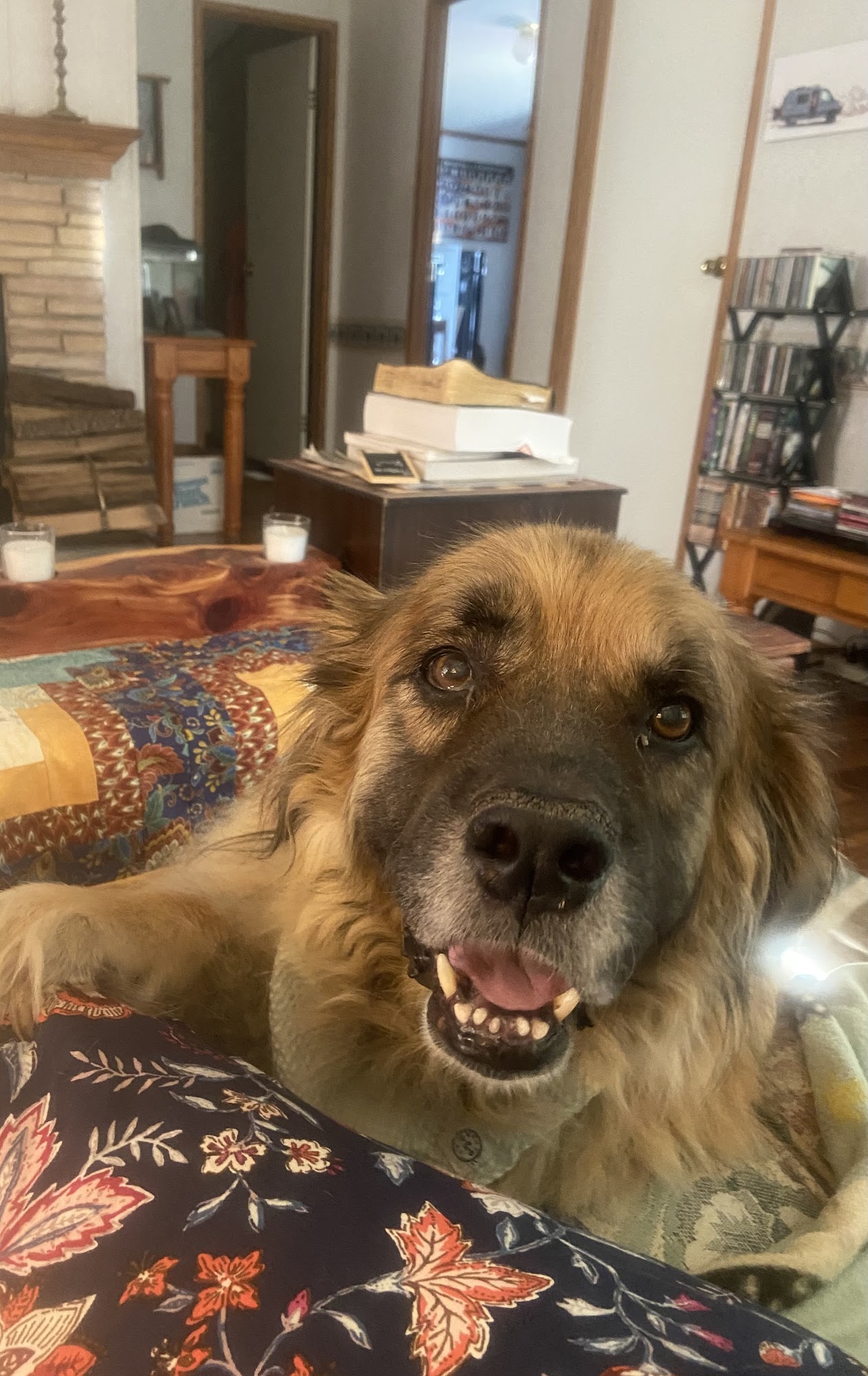 Baker Animal Clinic: Maria Di Gregorio, D.V.M. Stillwater