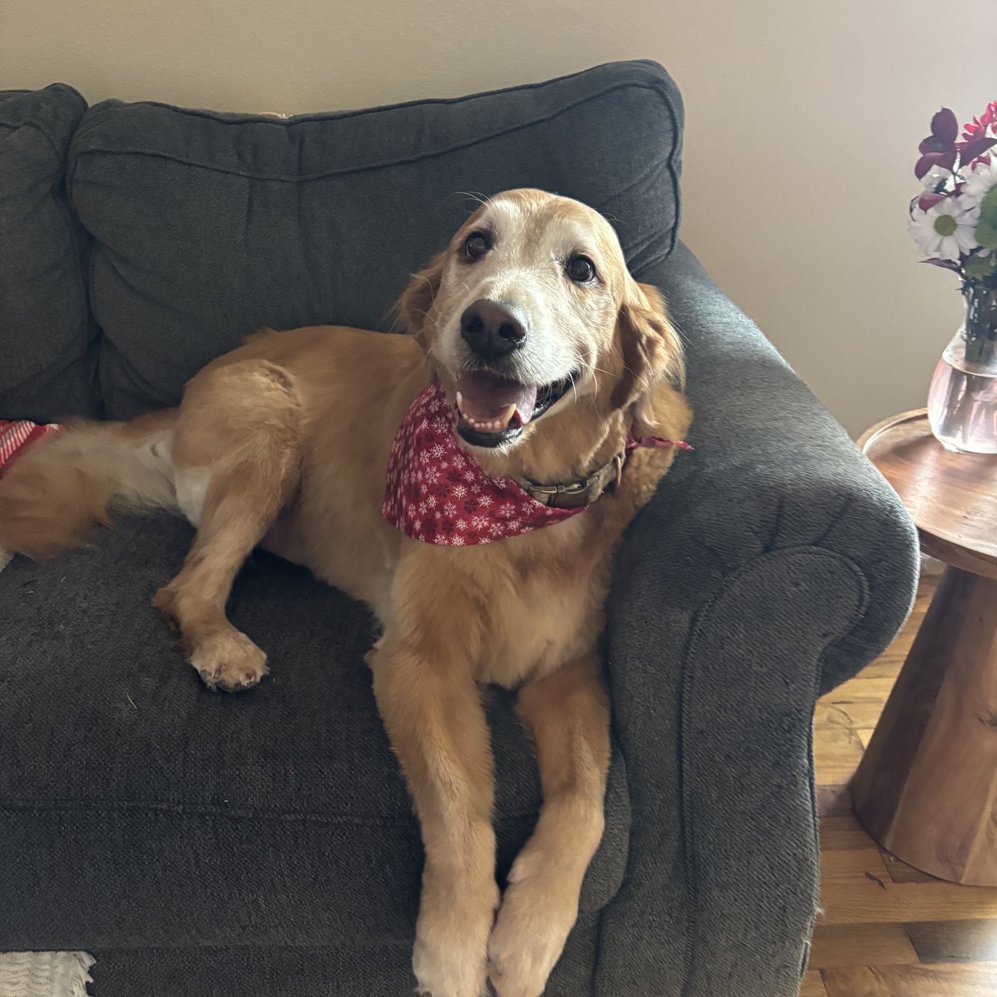 Luv 'N' Bubbles Stillwater