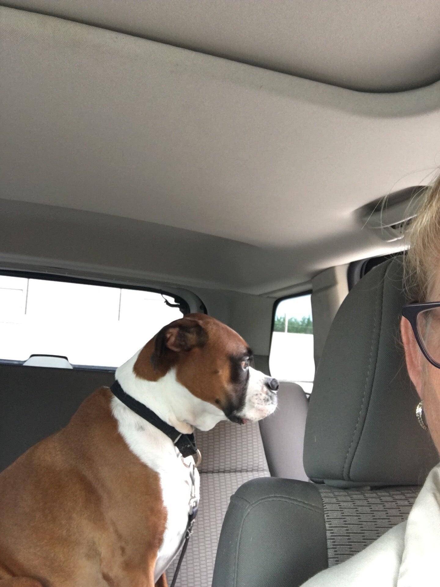 Photo credit: nextdoor