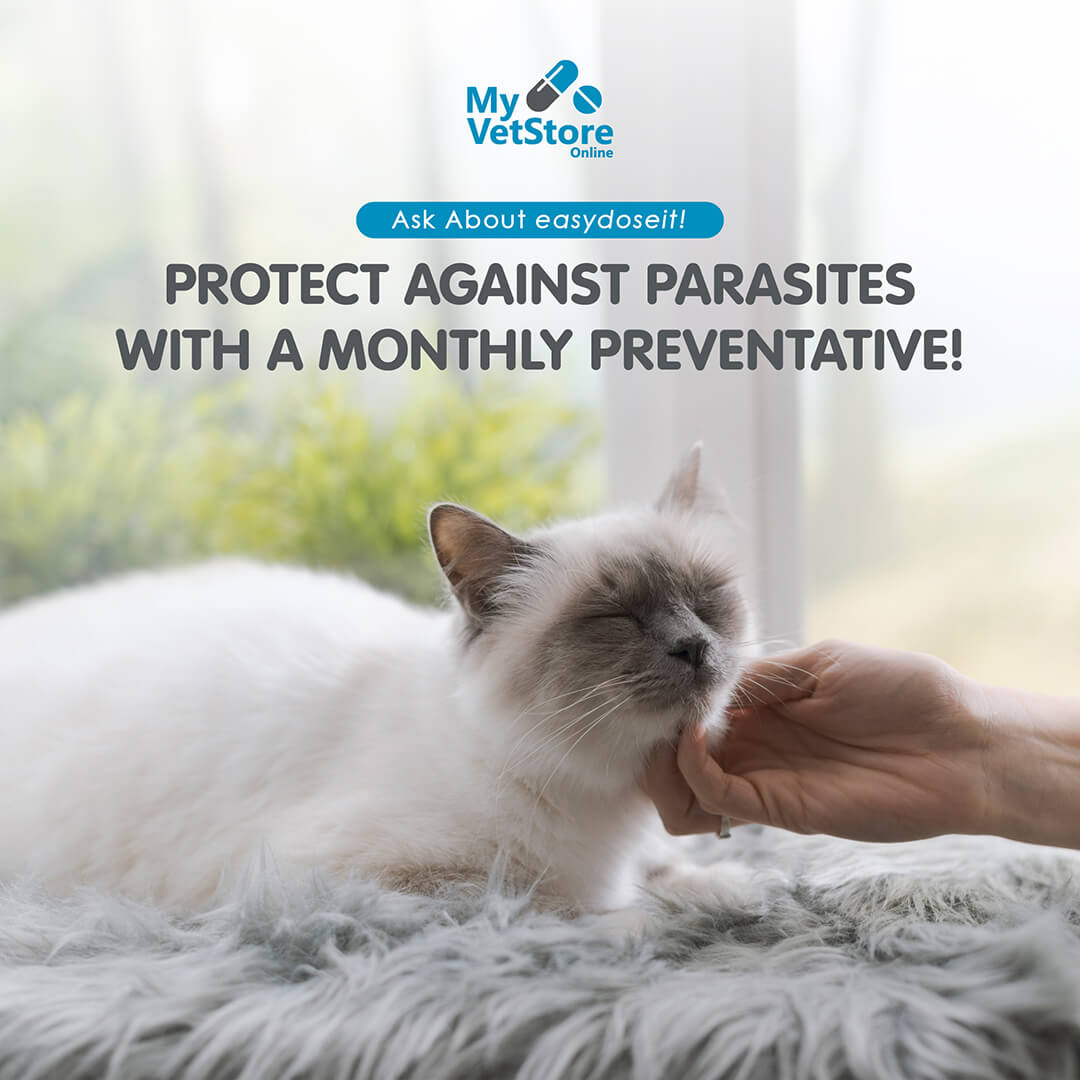 Premier Pet Clinic Tahlequah