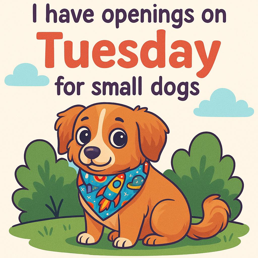 Flying Fur Dog Spa Tahlequah