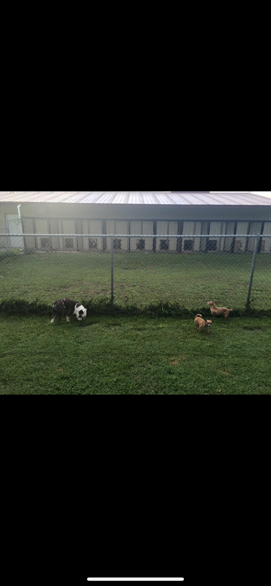 K-9 Acres Pet Resort Tahlequah