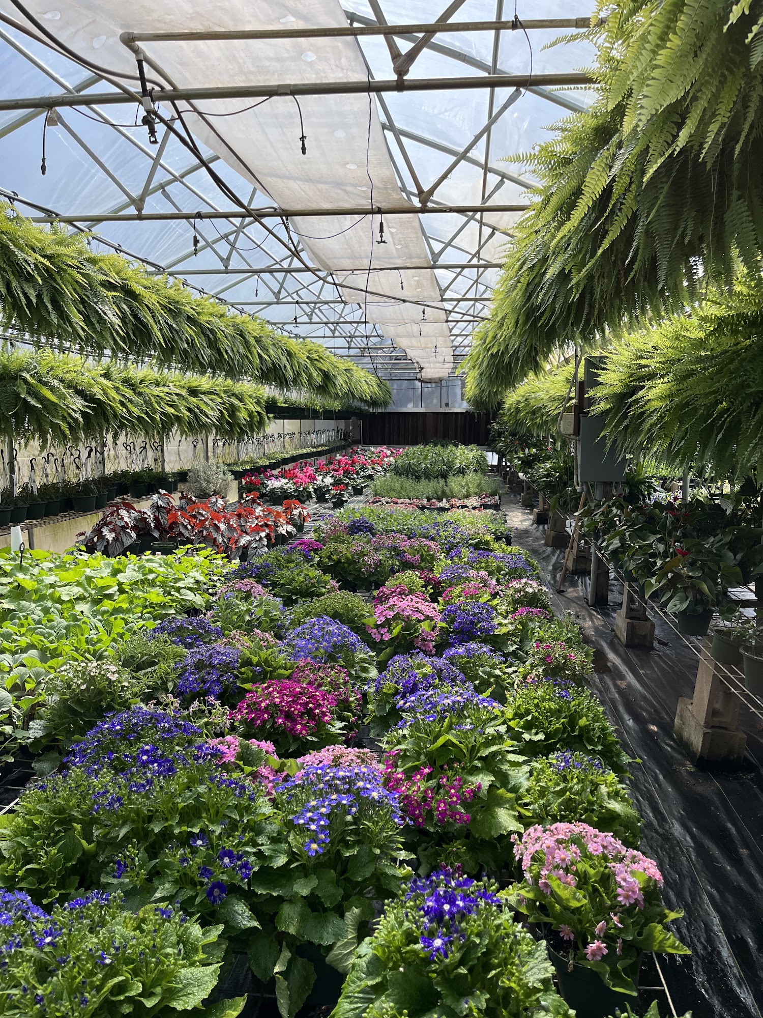 B & R Greenhouse Talihina