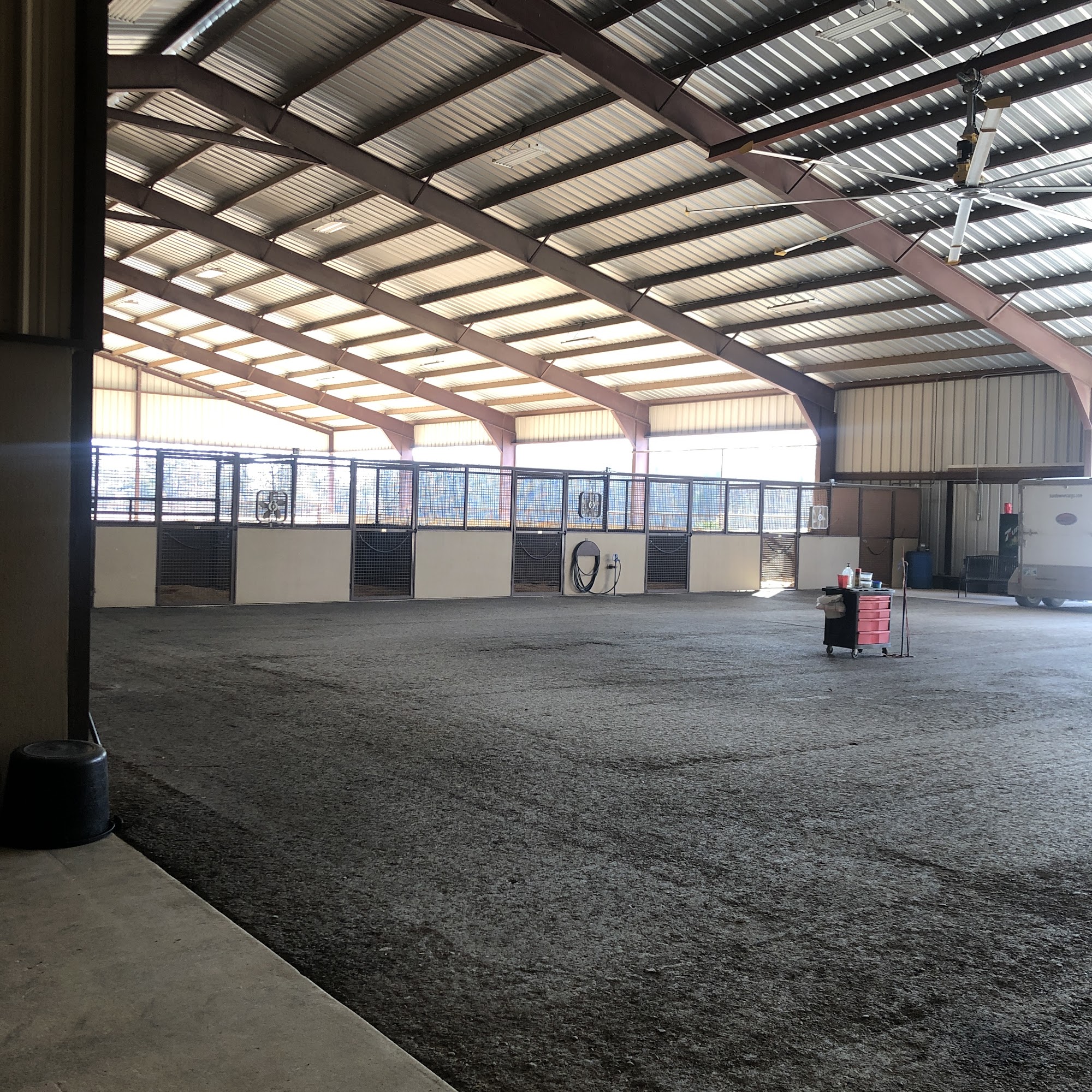 Performance Equine Associates Thackerville