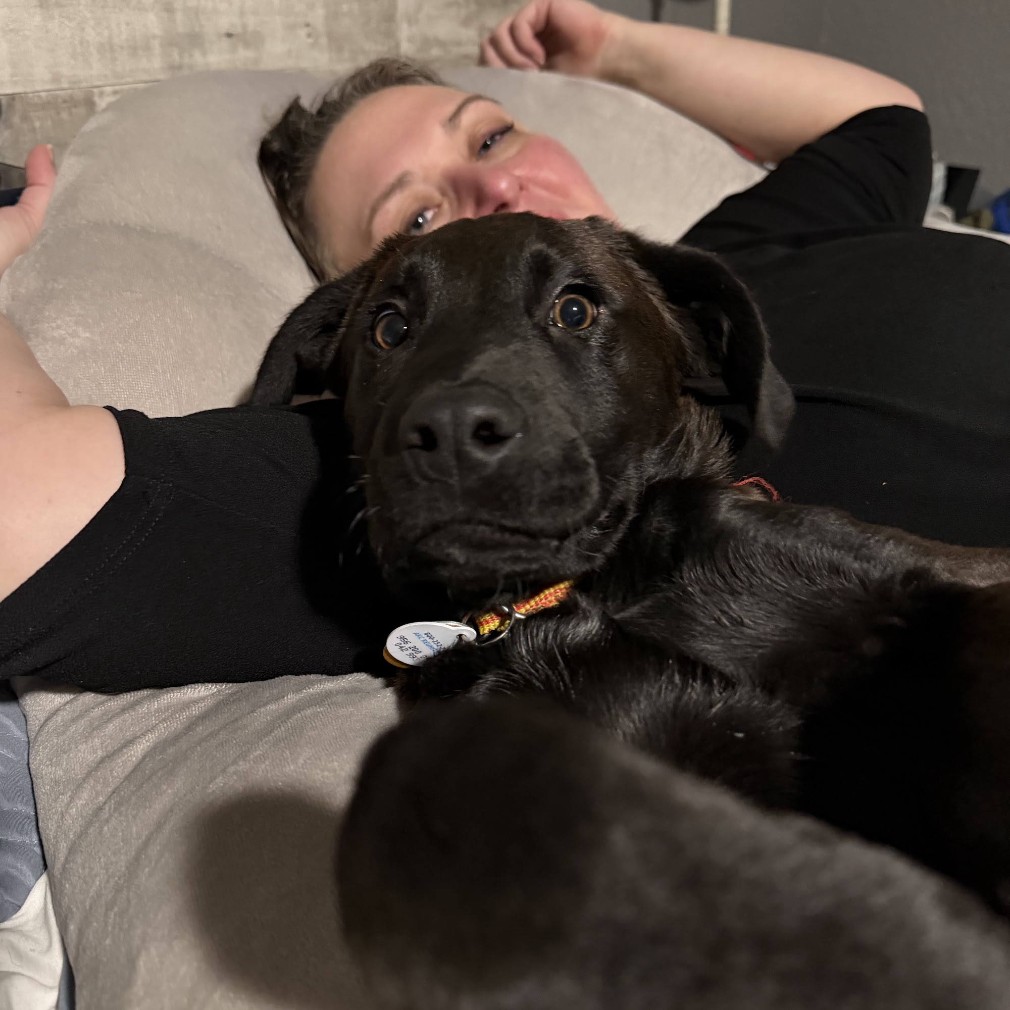 Alta Vista Animal Hospital & Pet Lodge Tulsa