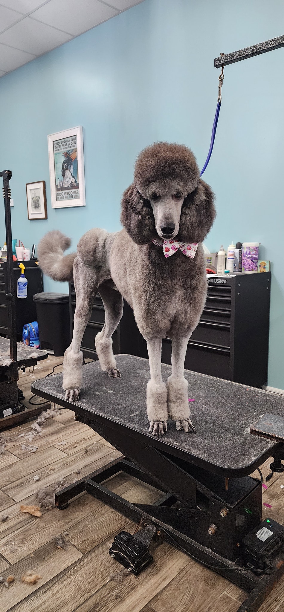 Laralea's Dog Spa Tulsa