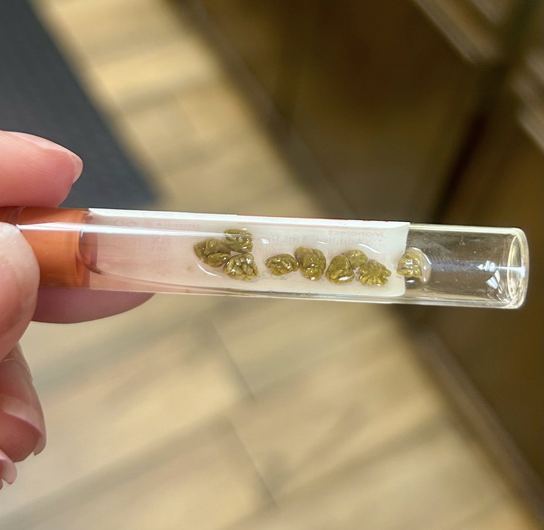 Danner Veterinary Hospital Tulsa