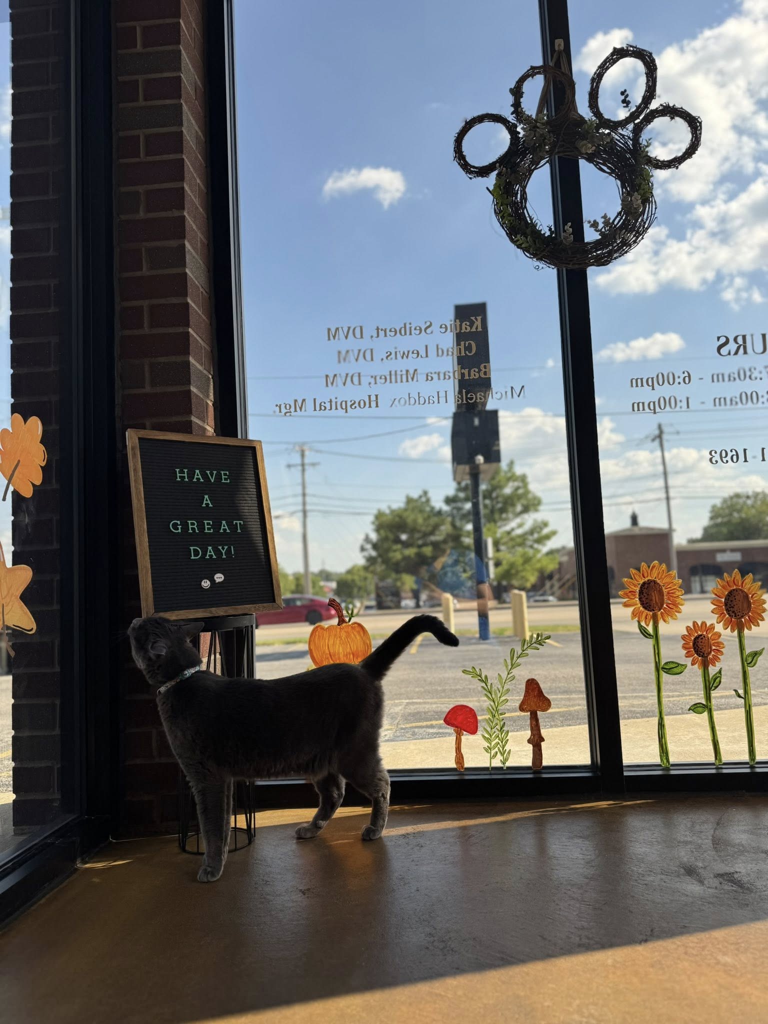 Chimney Hills Animal Hospital Tulsa