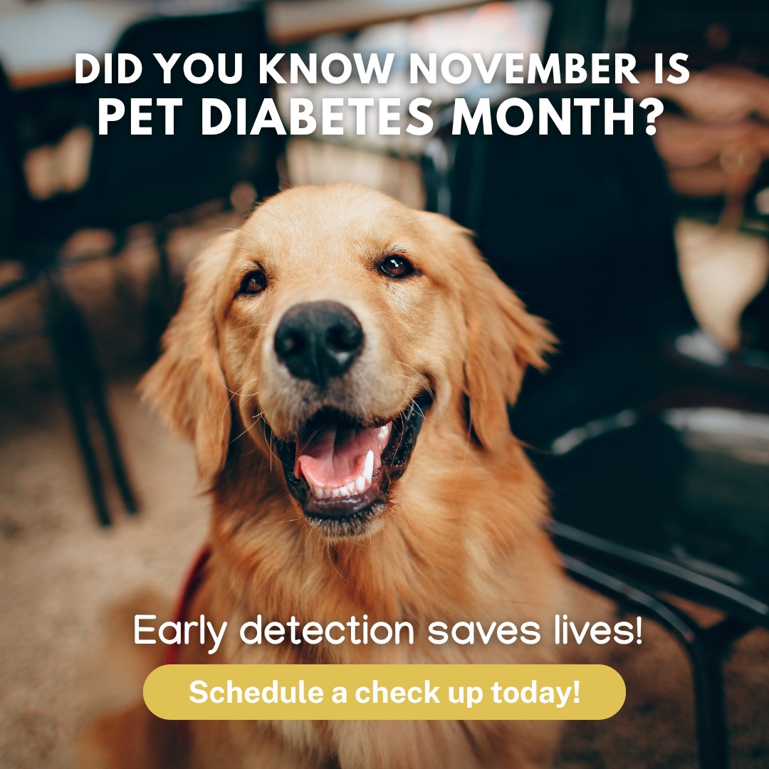 Crestwood Crossing Animal Hospital, LLC Tulsa