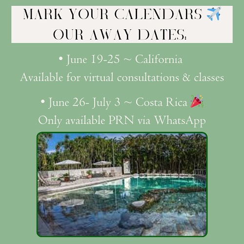 Chief Building Systems