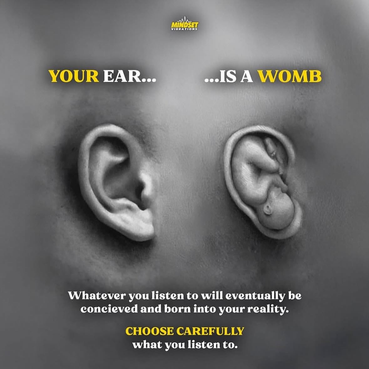 Chief Building Systems