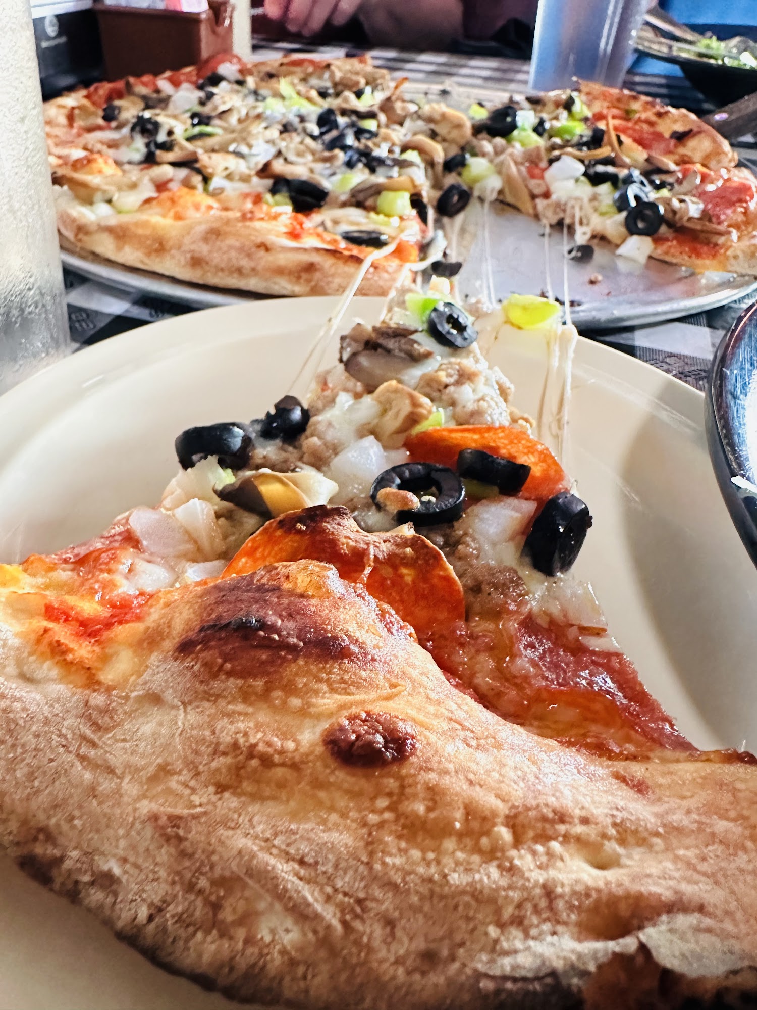 Pizza Port Wagoner