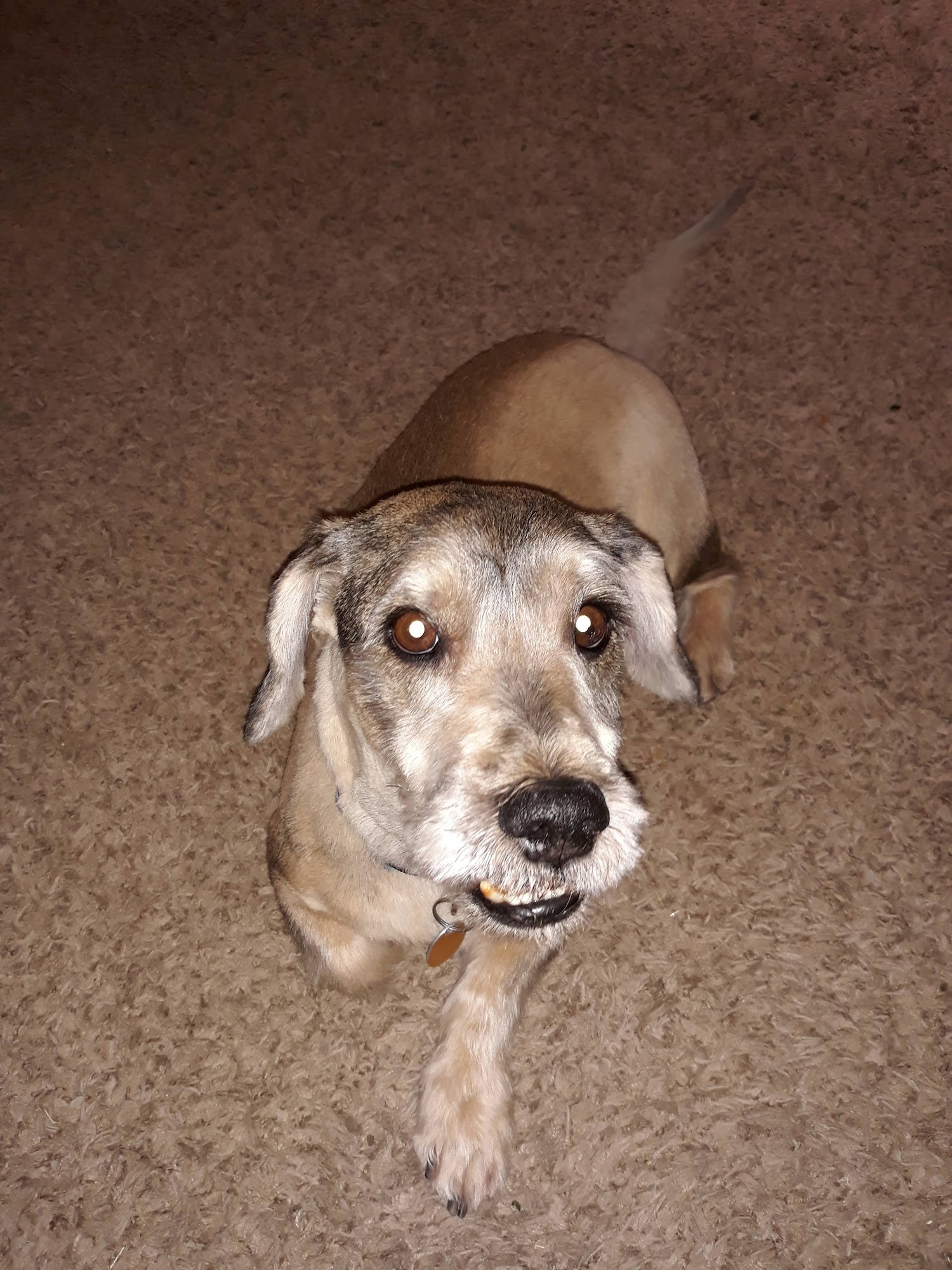 Warr Acres Animal Clinic Warr Acres