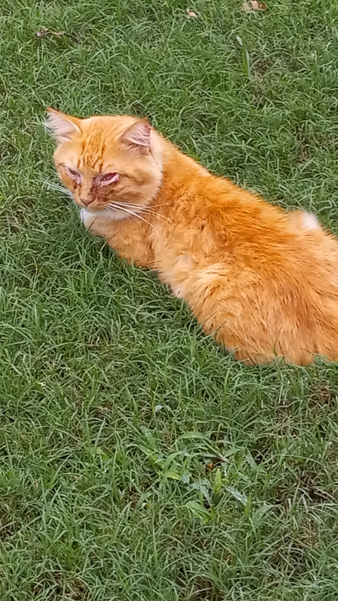 Warr Acres Animal Control Center