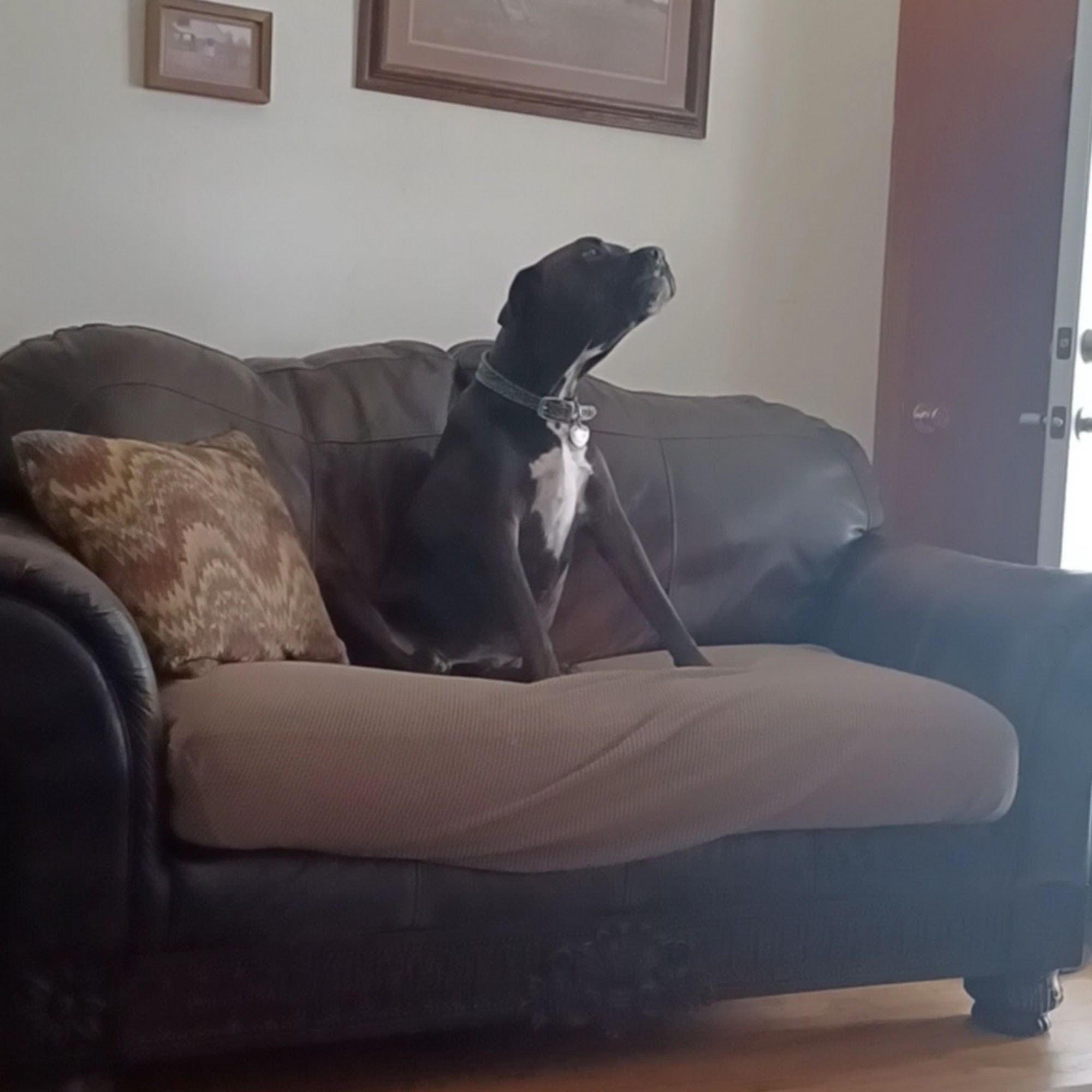 West Yukon Animal Hospital Yukon