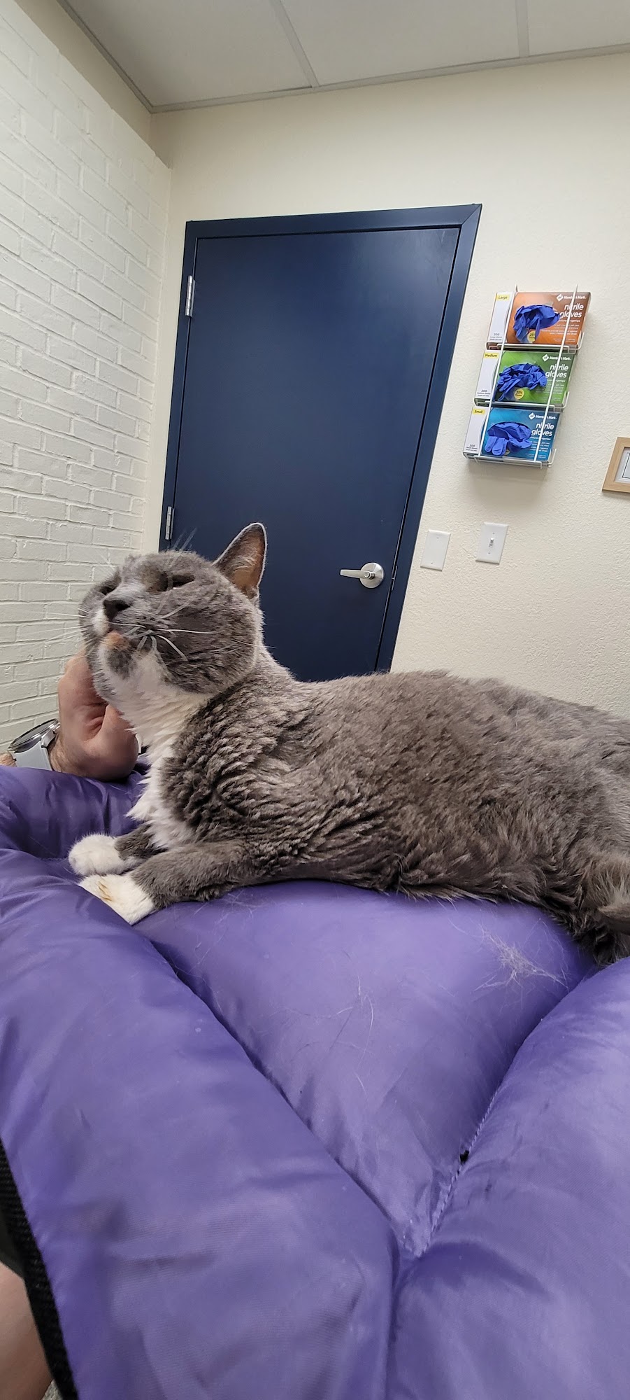 Yukon Pet Care Clinic Yukon