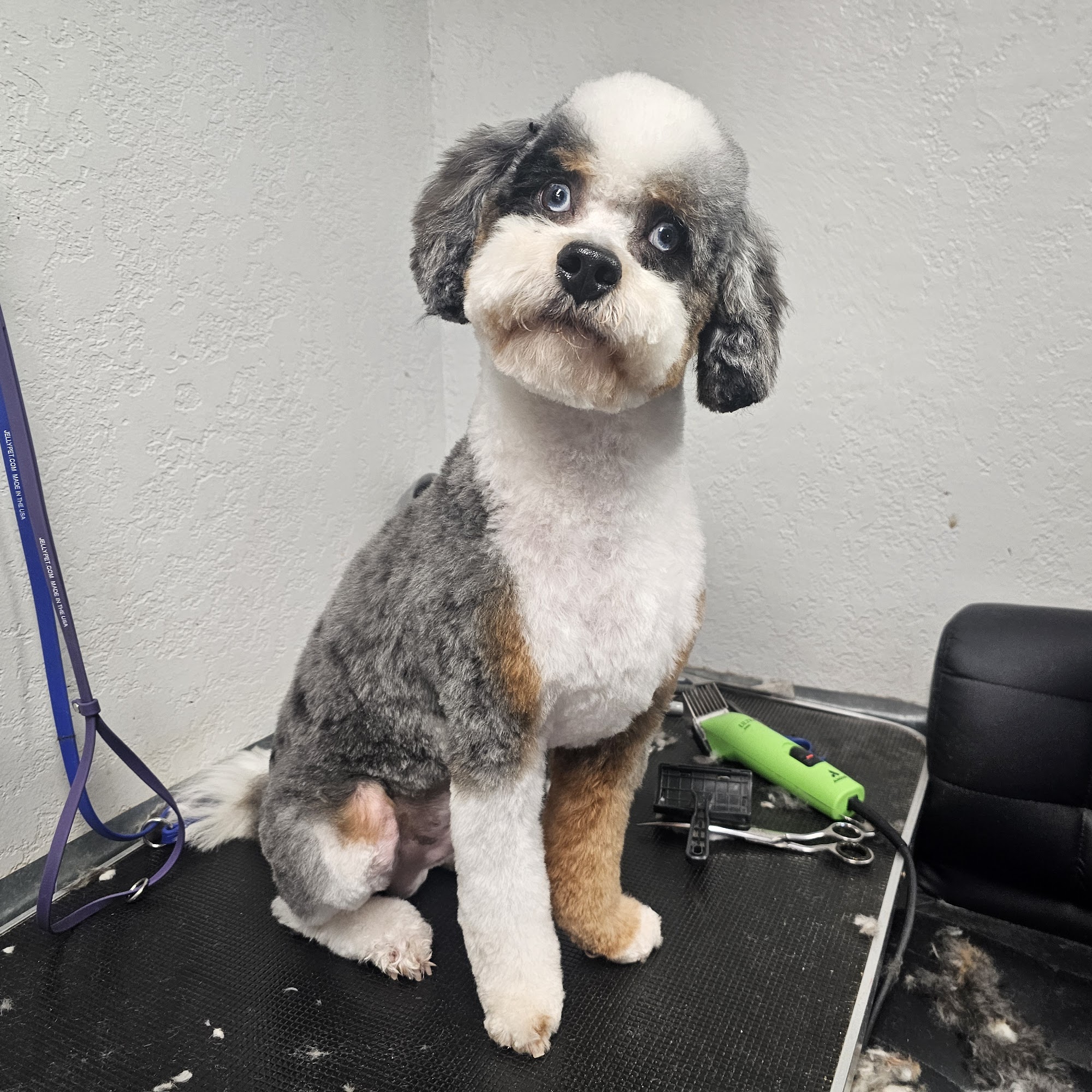 JayVs Unlimited Grooming Yukon